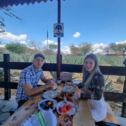 Los Agaves image 5