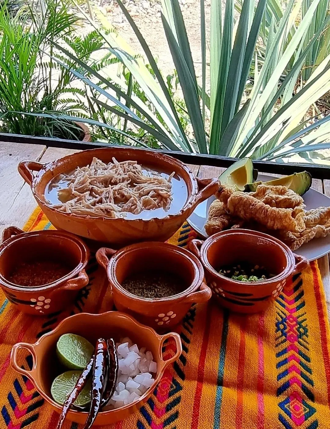 Los Agaves image 7