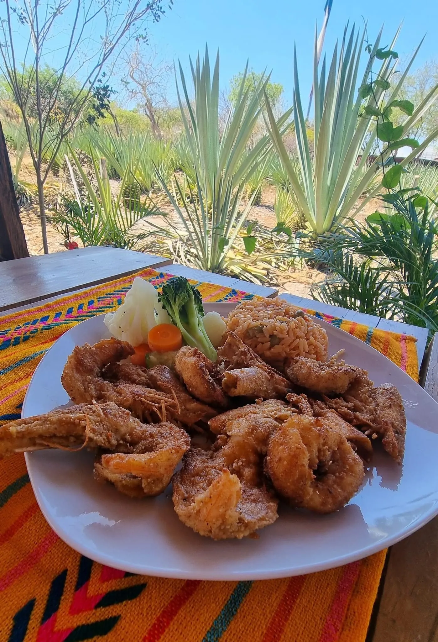 Los Agaves image 9