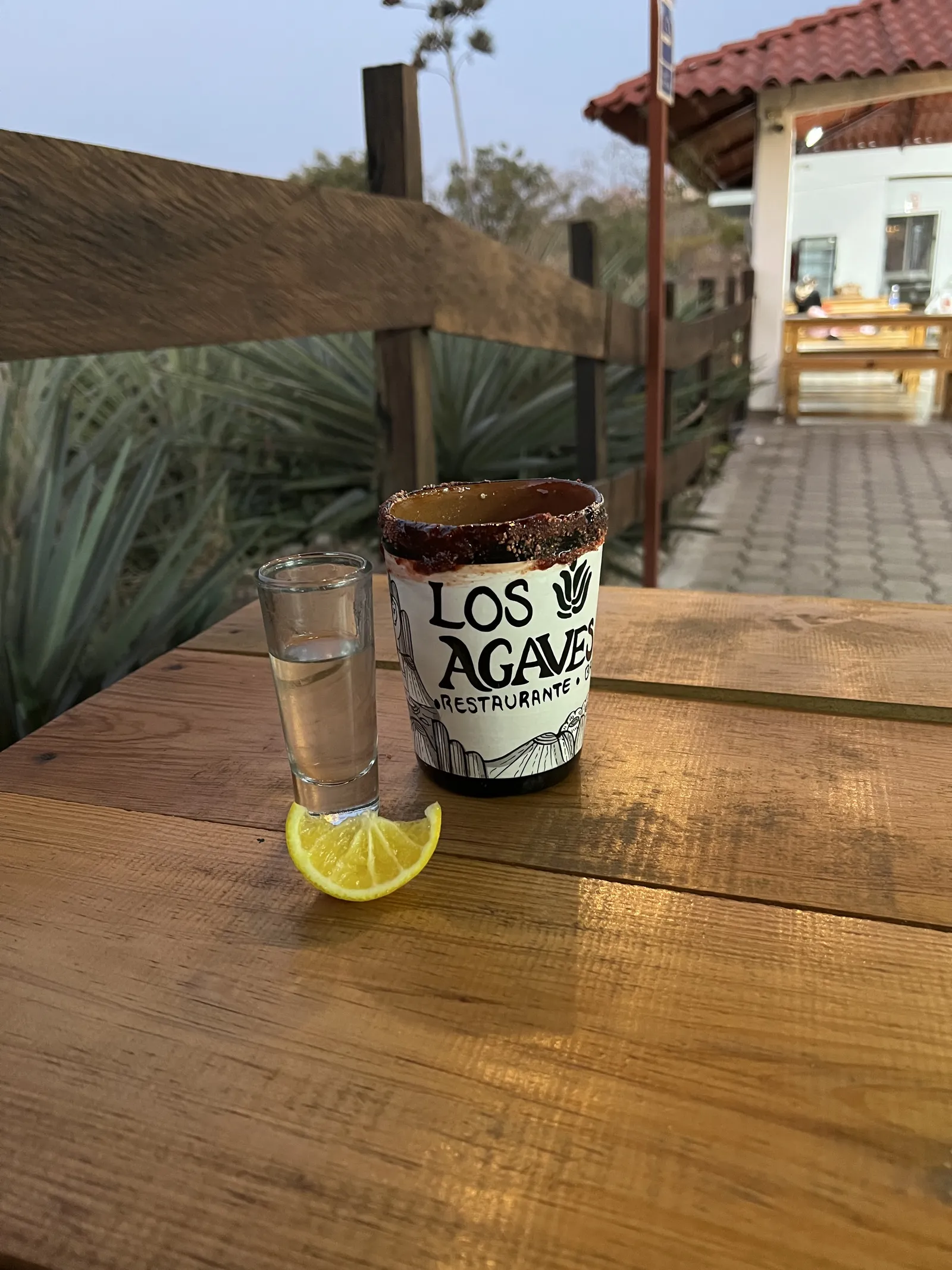 Los Agaves image 10
