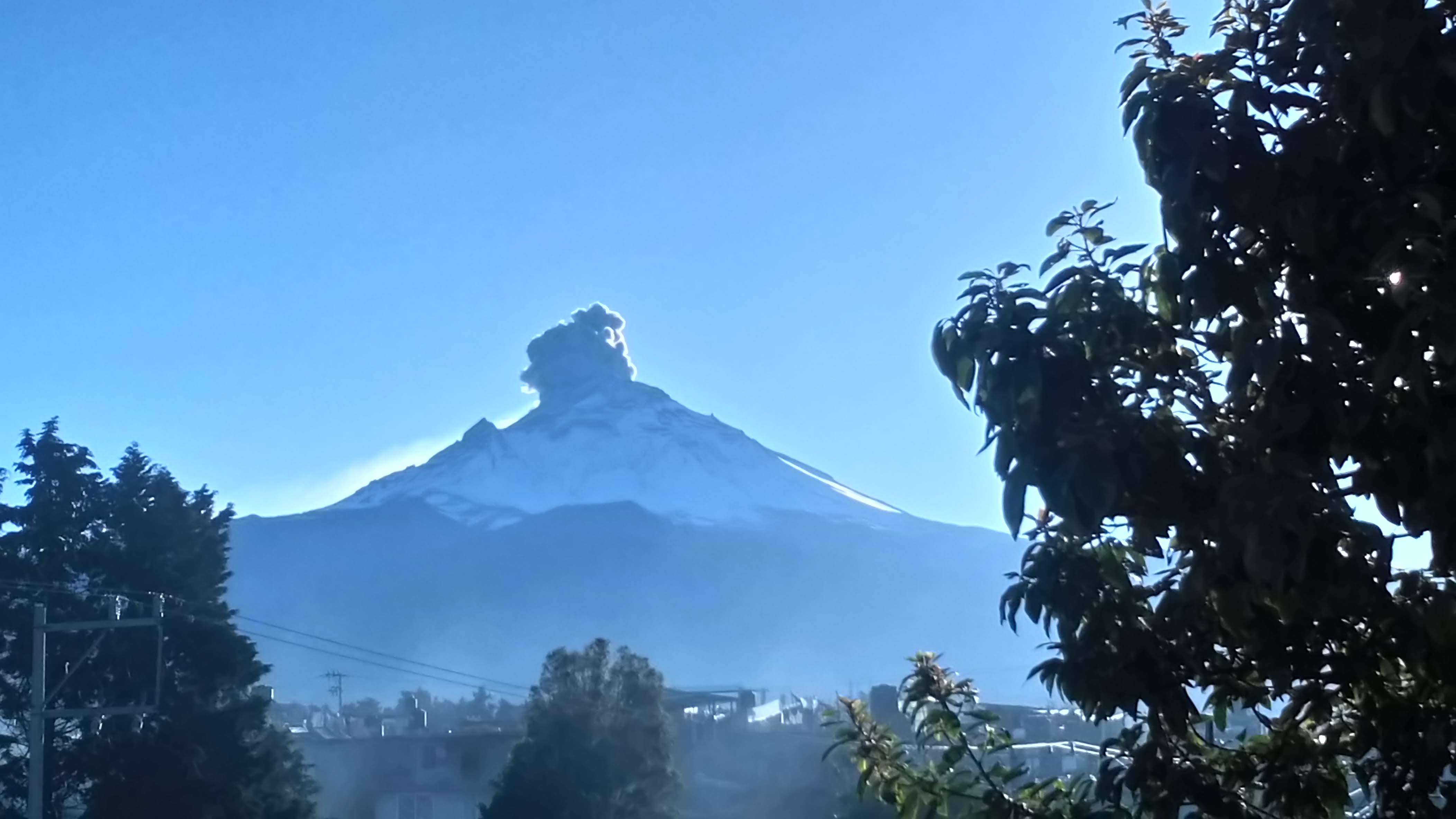 Taqueria el Coyote Ozumba image 5