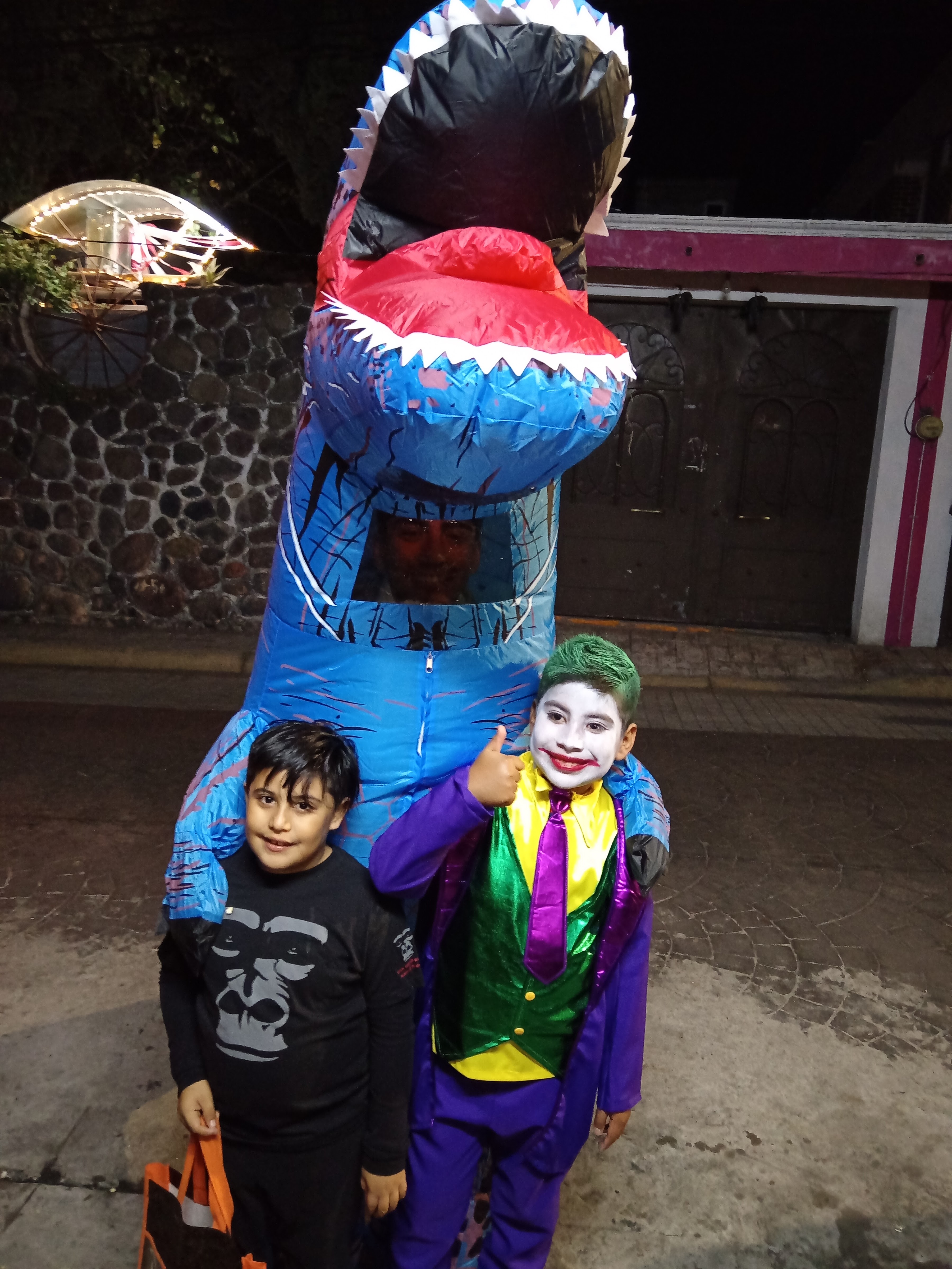 Bird House Ozumba. image 7