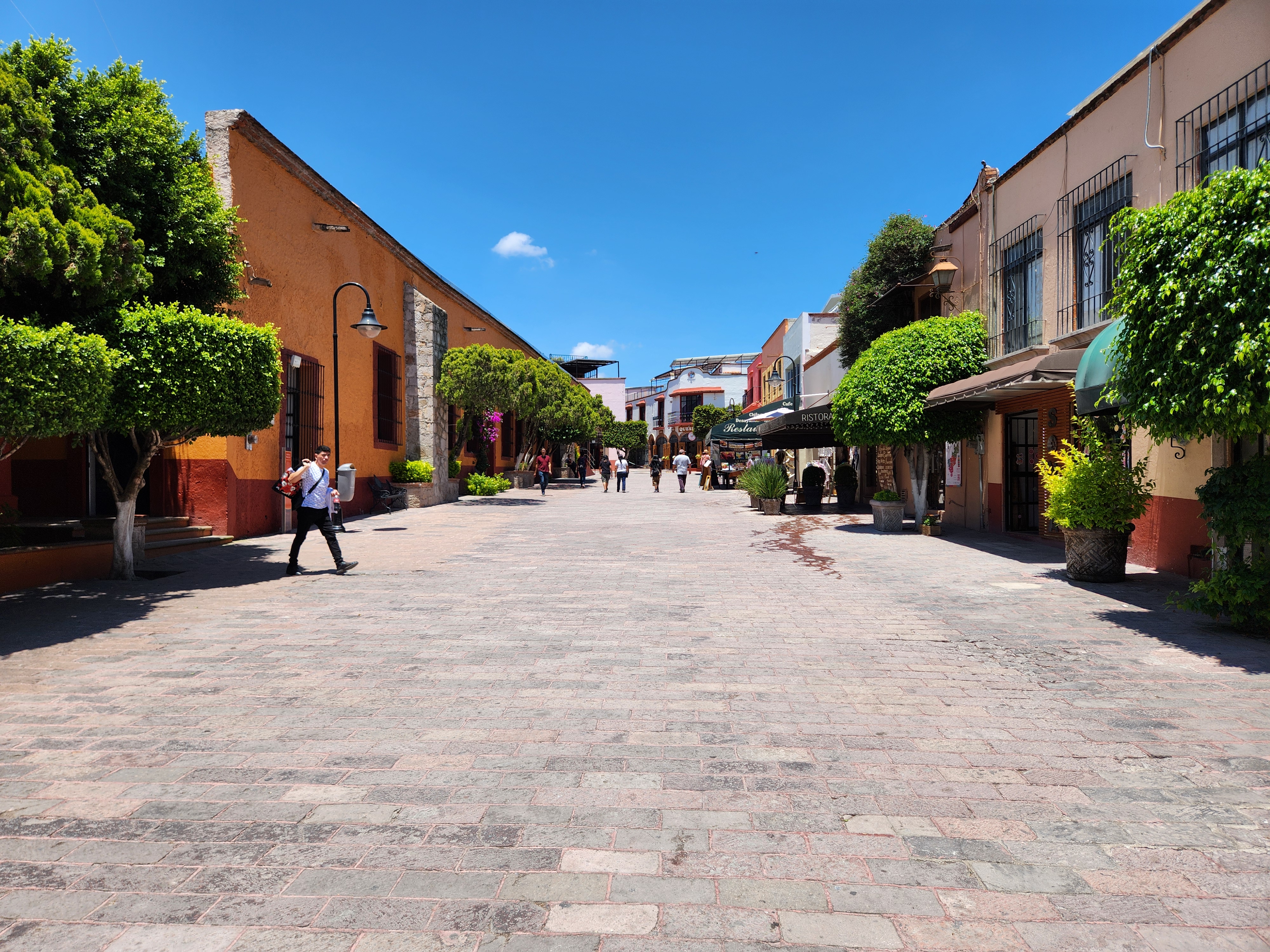La Quercia Ristorante image 3