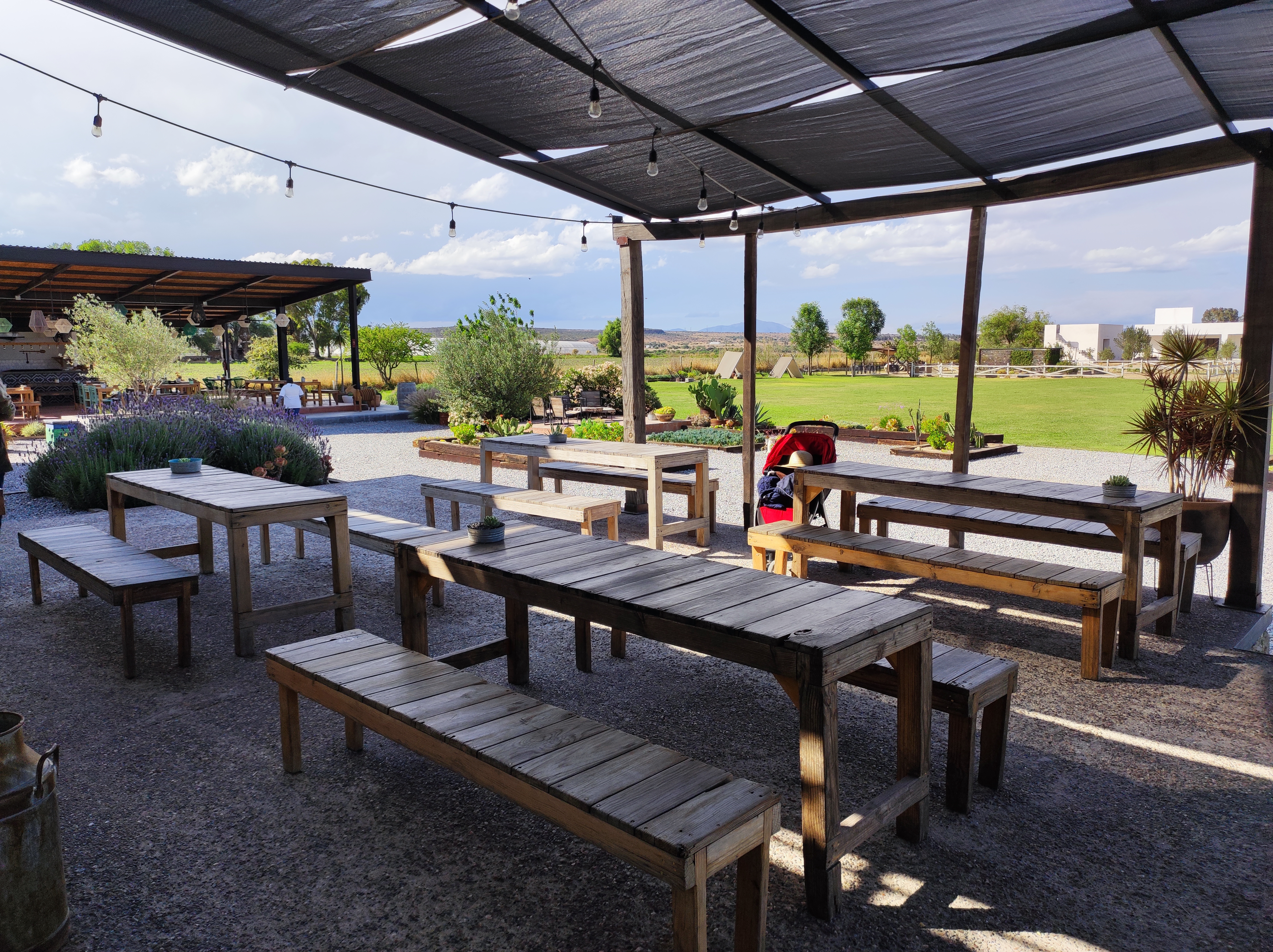 Bocanegra Gastronomica image 1