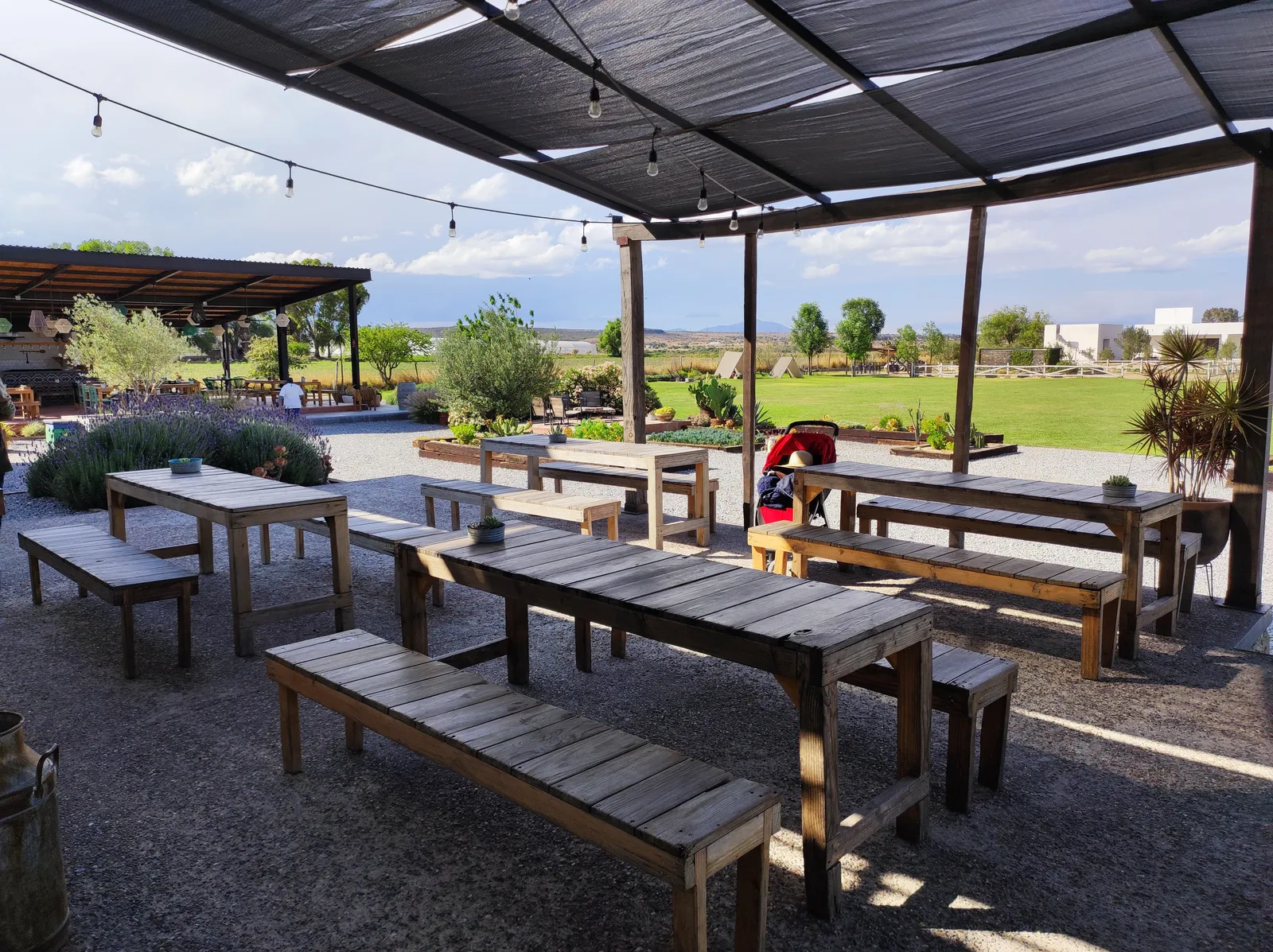 Bocanegra Gastronomica image 1
