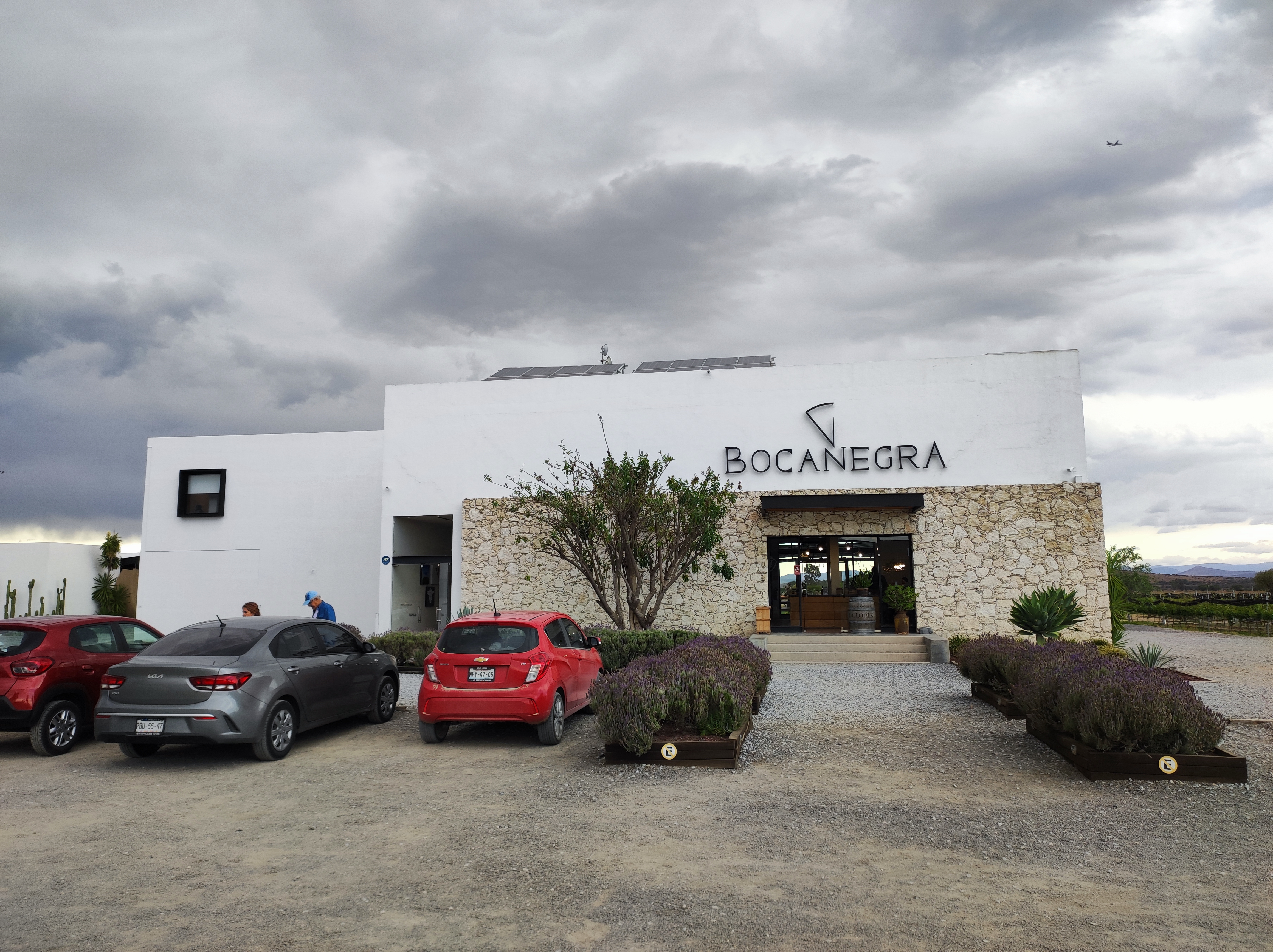 Bocanegra Gastronomica image 5