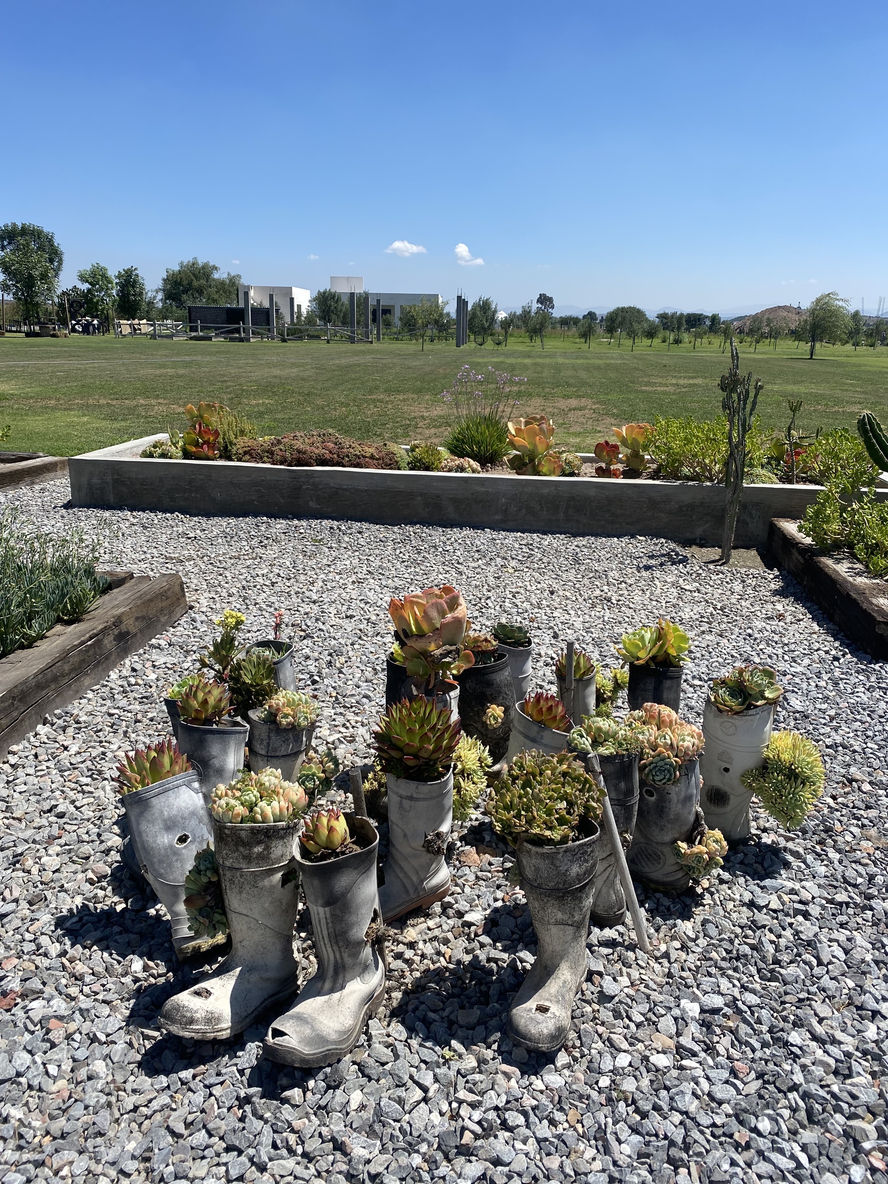 Bocanegra Gastronomica image 9