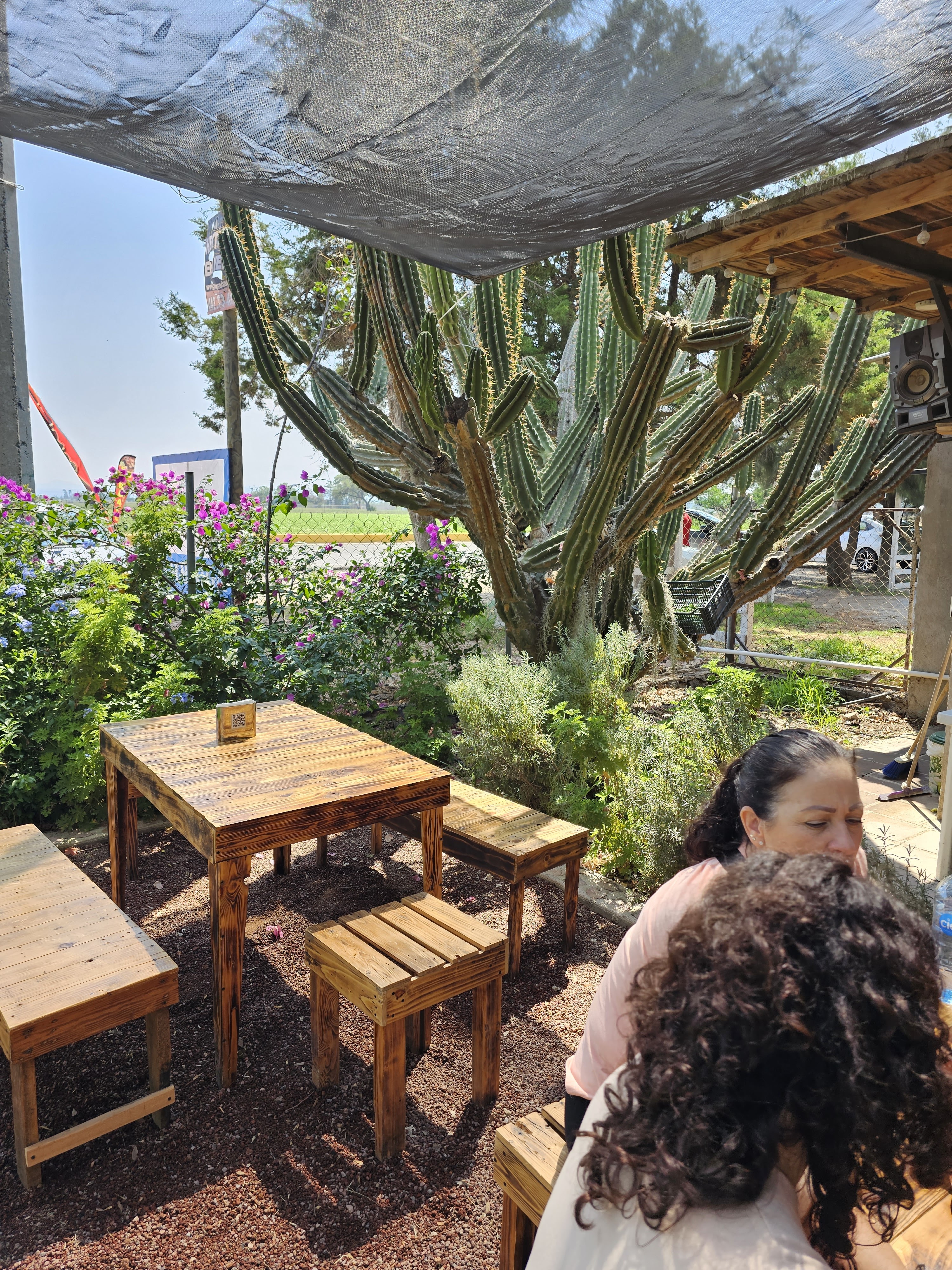 El Establo TX image 1