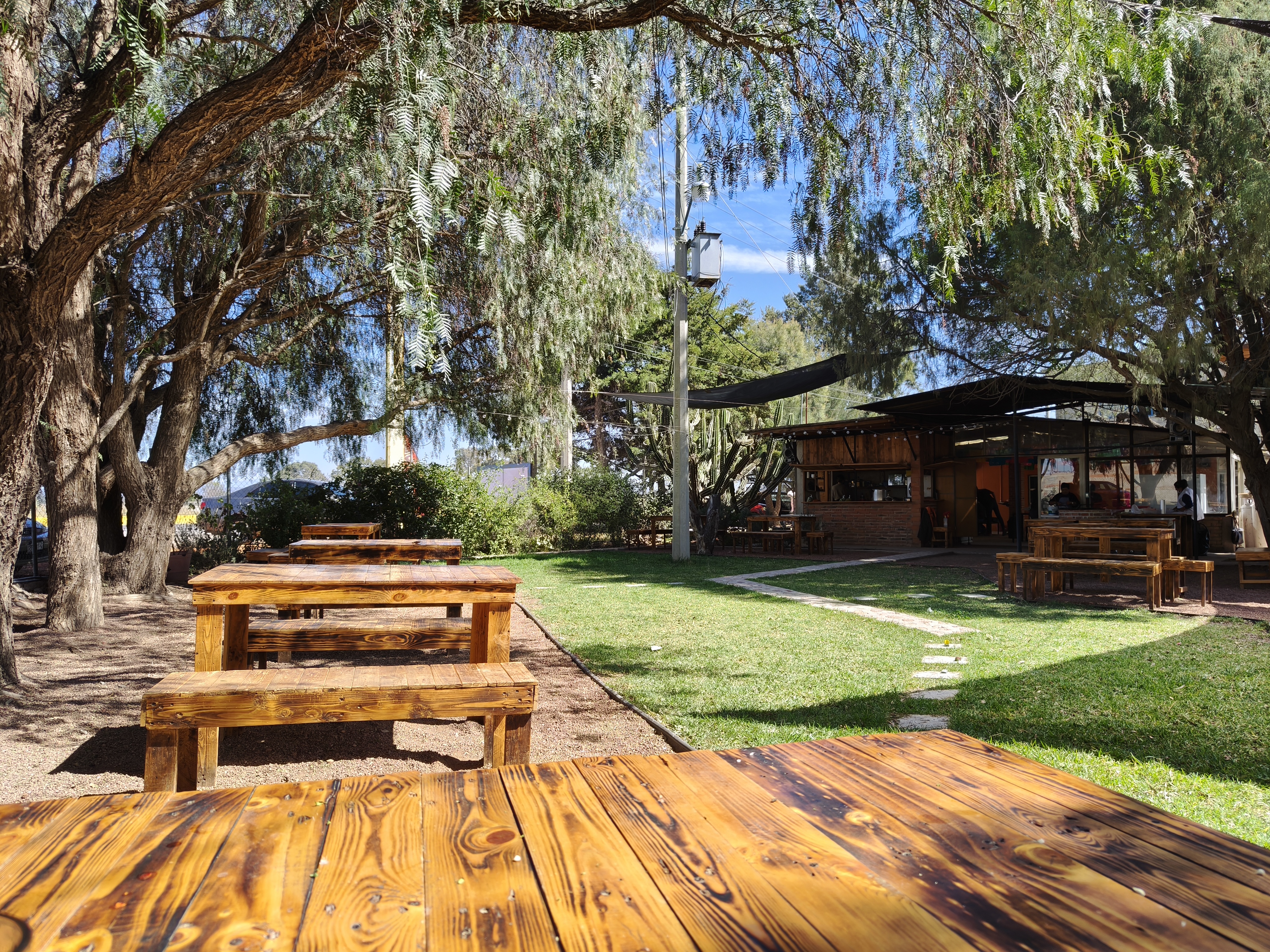 El Establo TX image 8