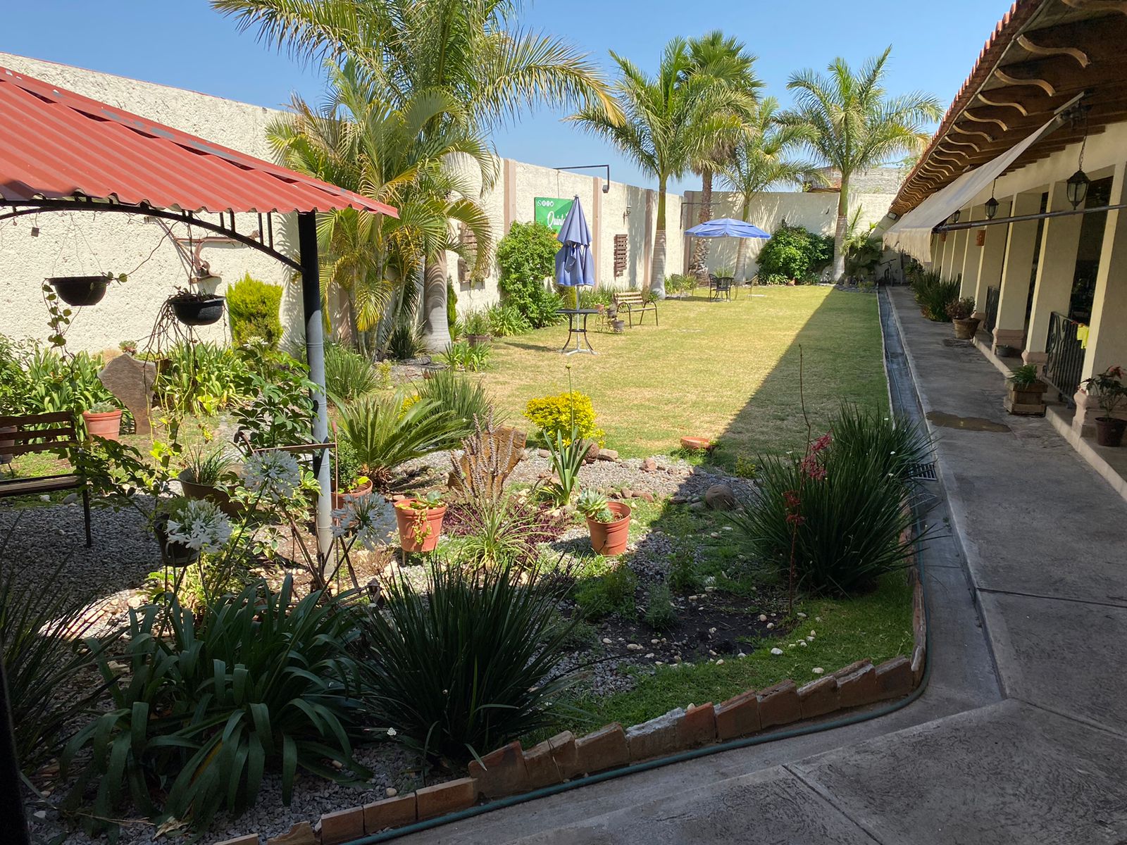 Almonte Cocina image 5