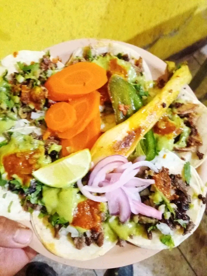 Taqueria Luna image 2