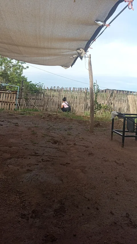 Restaurante KM 68 image 7
