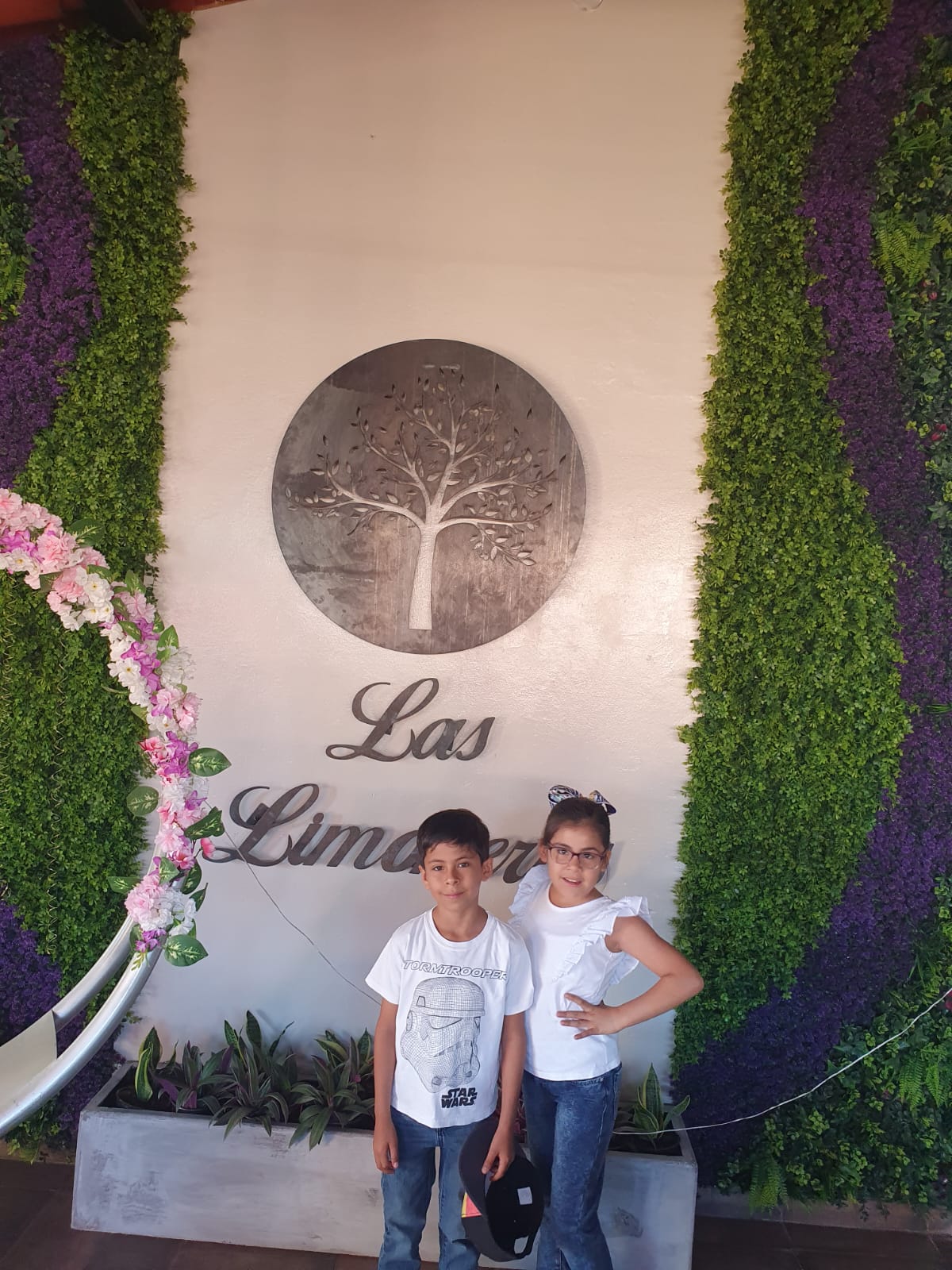 Las Limoneras Restaurante image 9