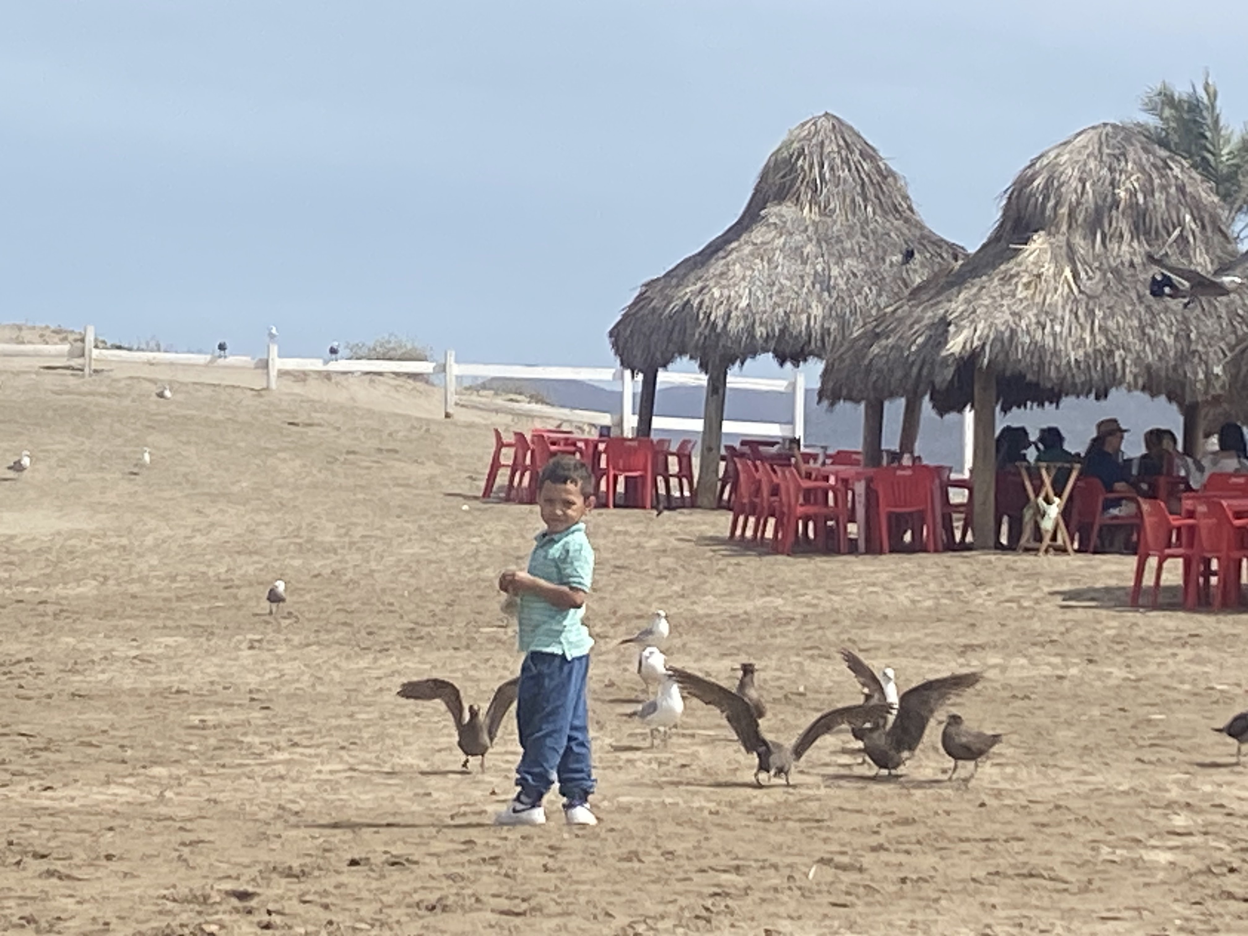 La Isla Restaurant image 3