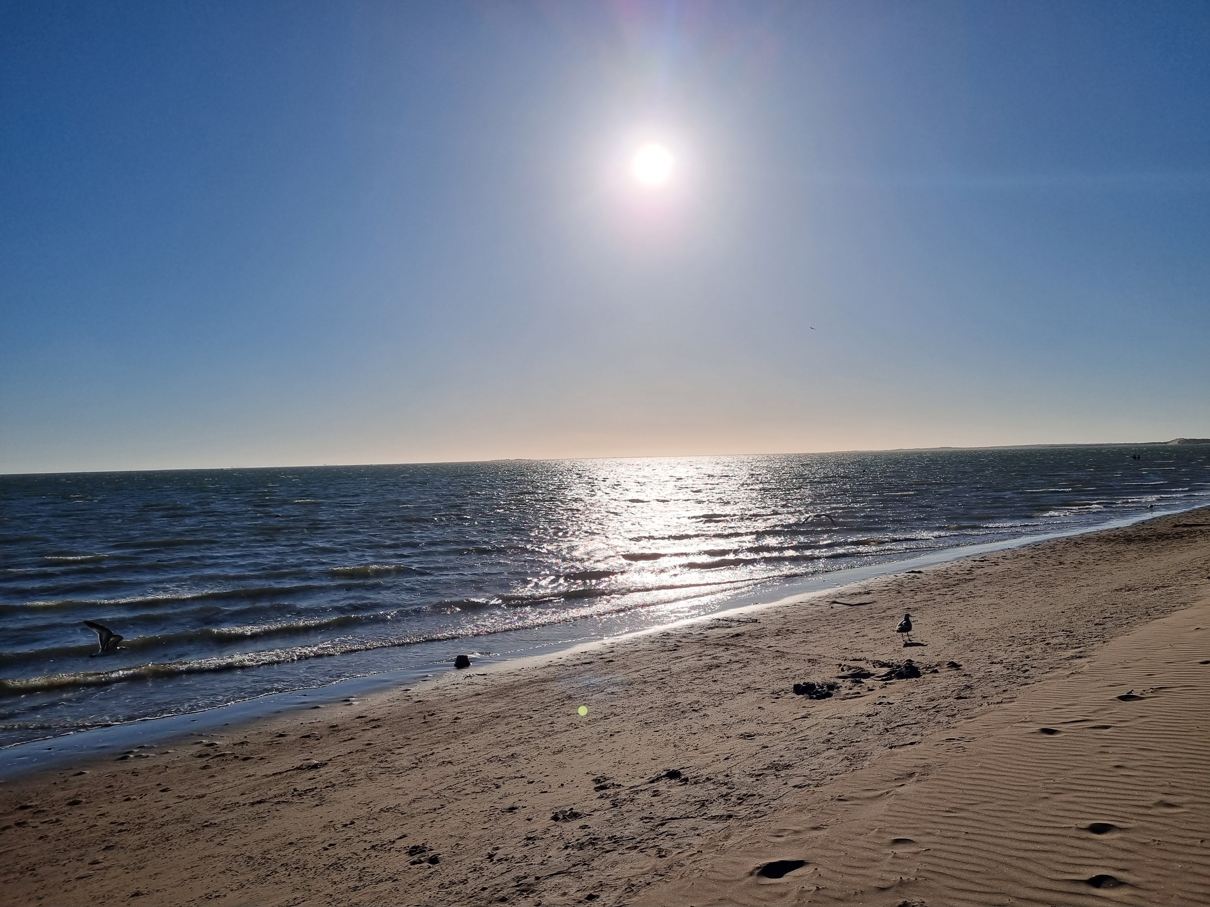 La Isla Restaurant image 6