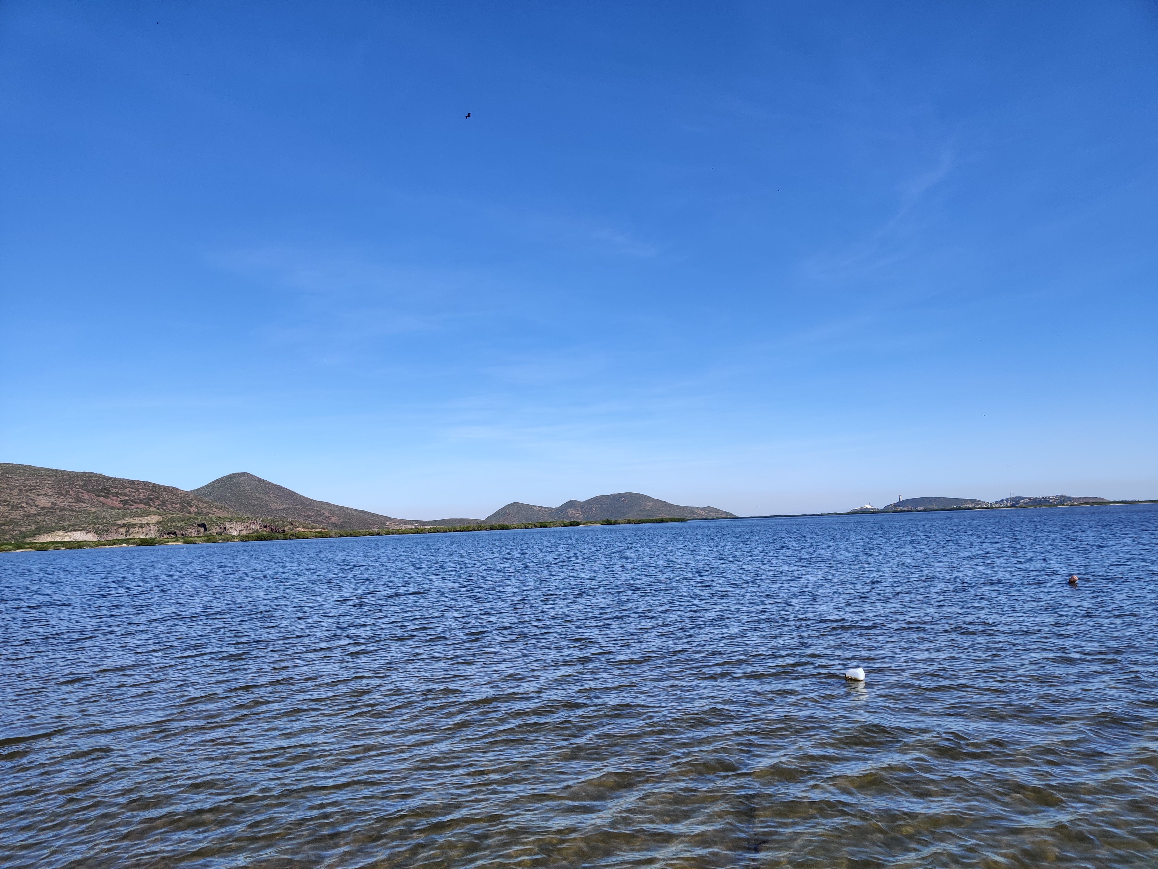 Restaurant Mi Costa image 8