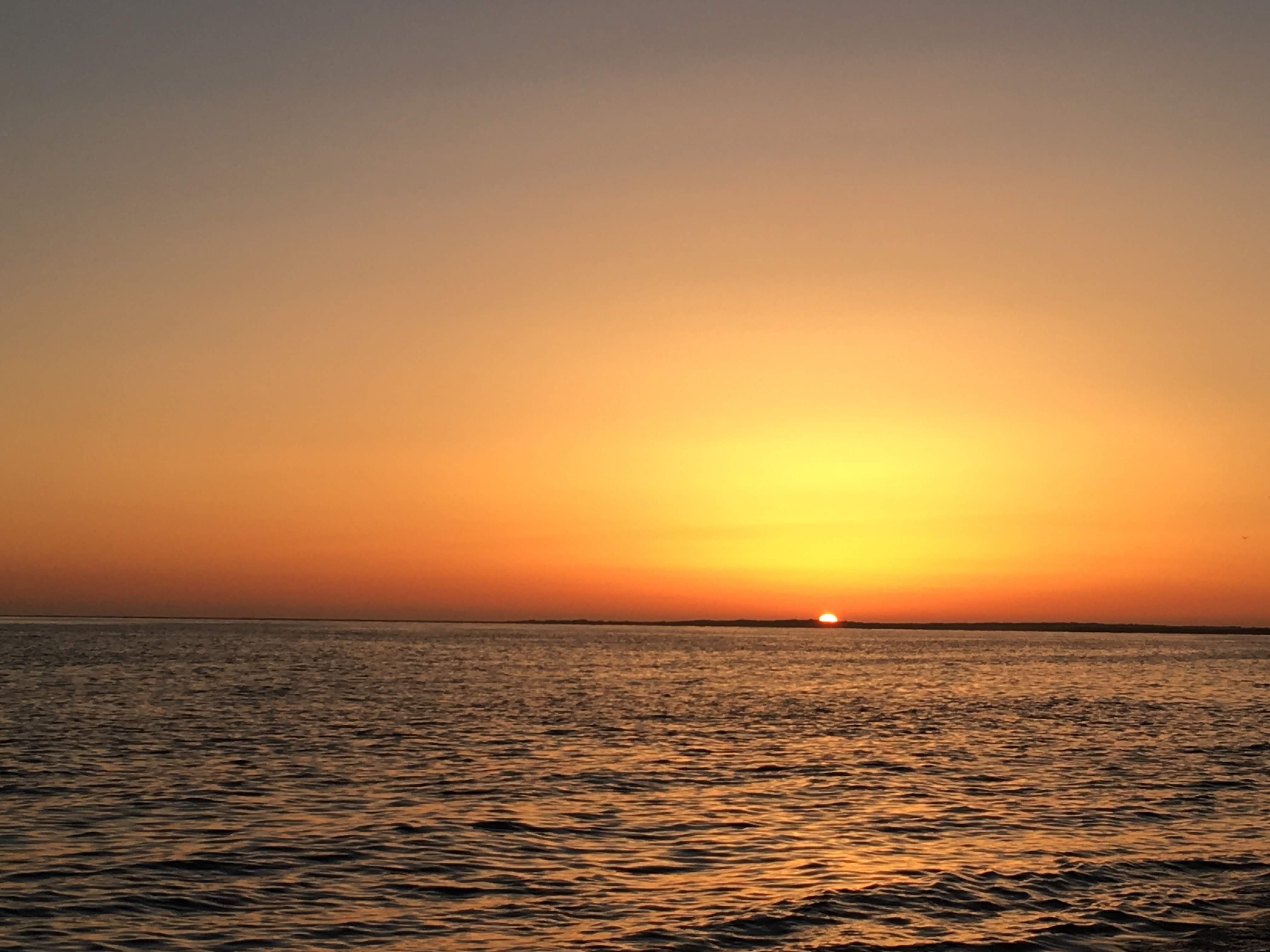 Restaurant Mi Costa image 10