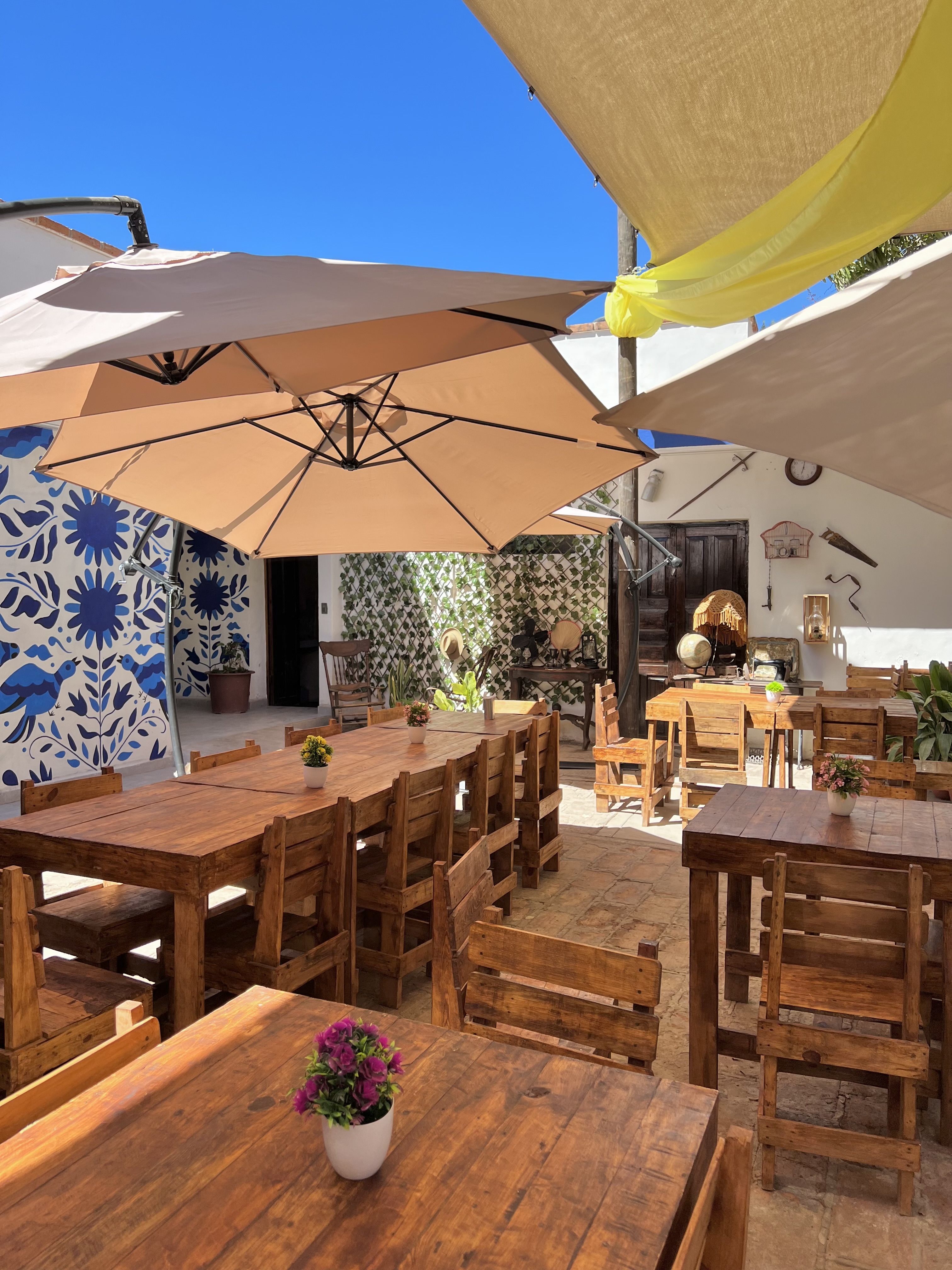 La Casa de Mi Abuela image 1