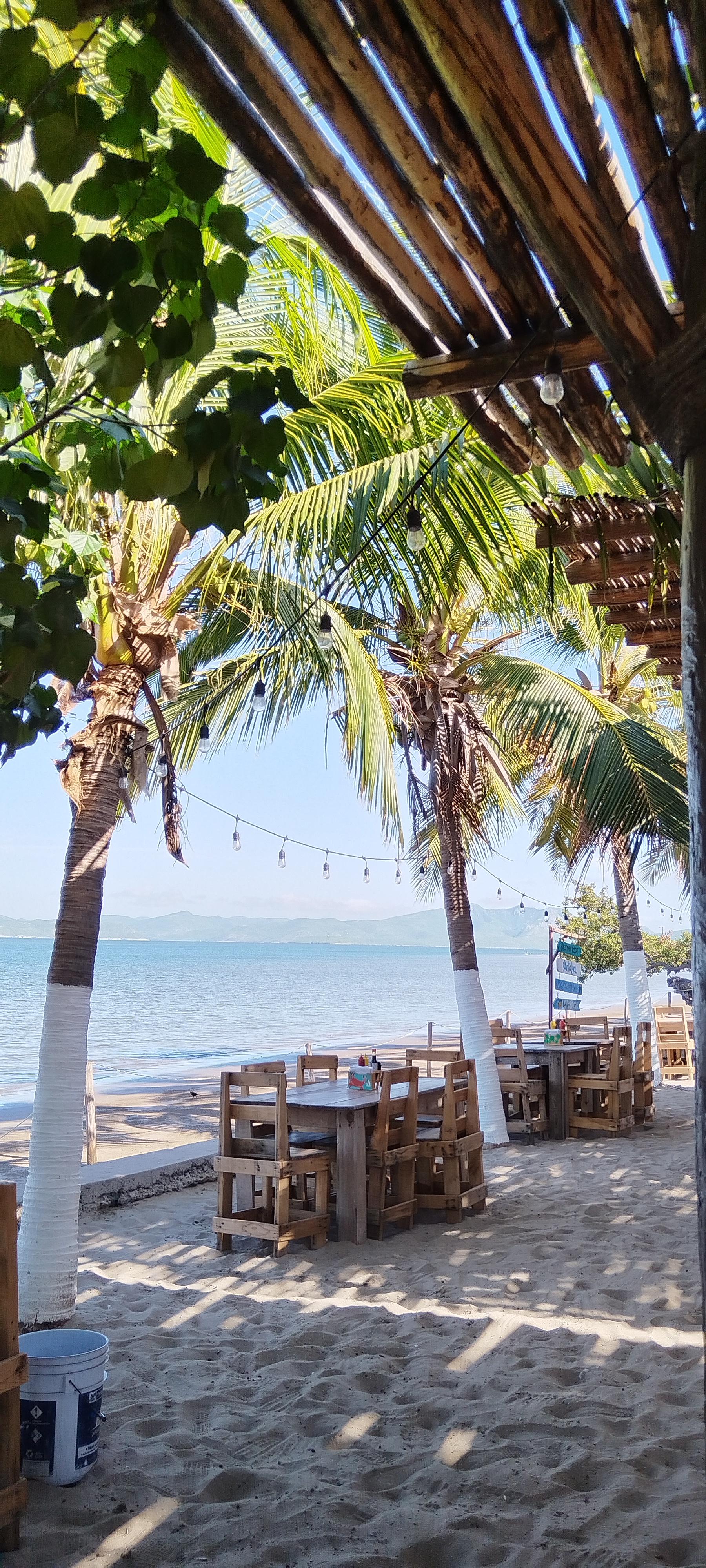 Antalya fish & grill restaurante playa el Maviri image 3