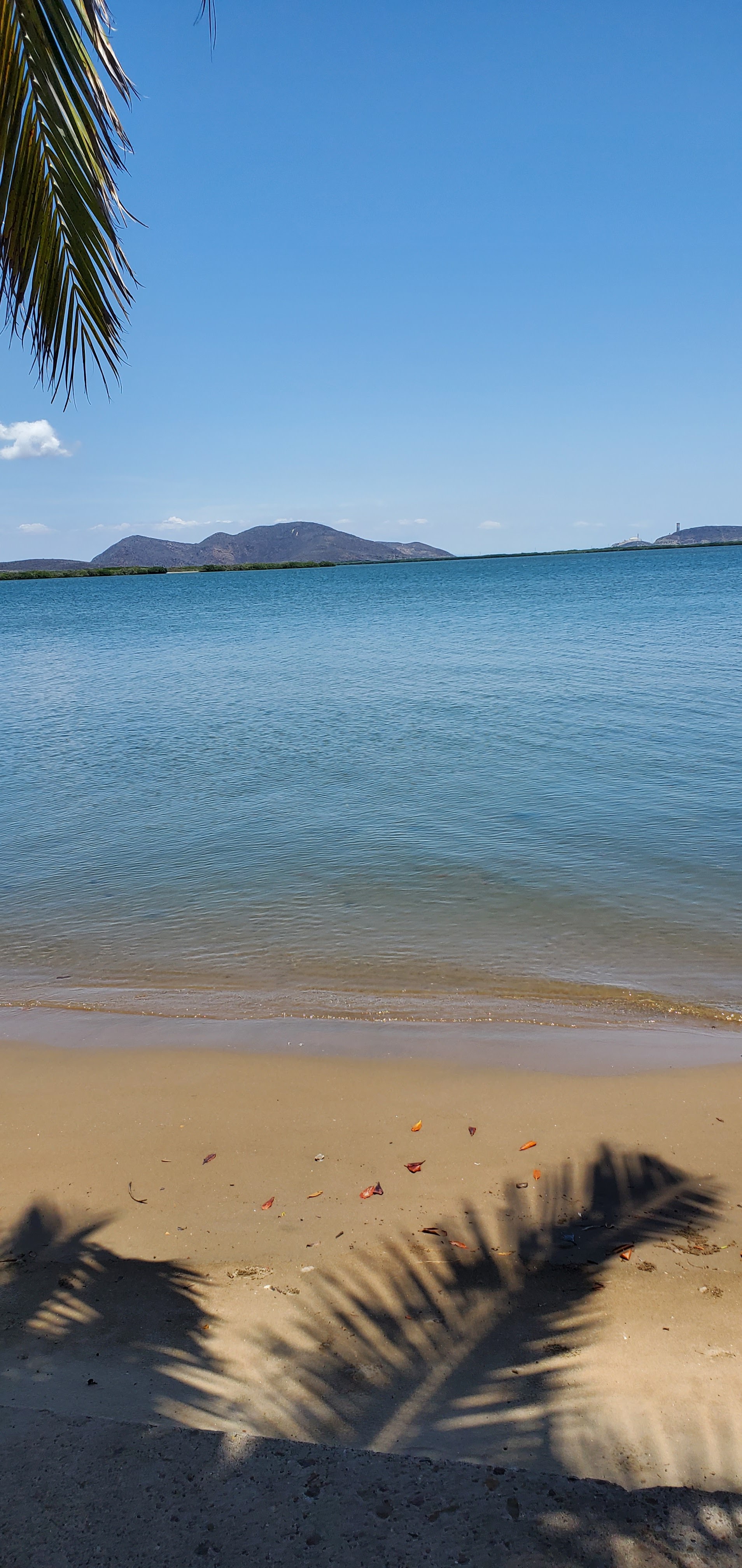 Antalya fish & grill restaurante playa el Maviri image 6