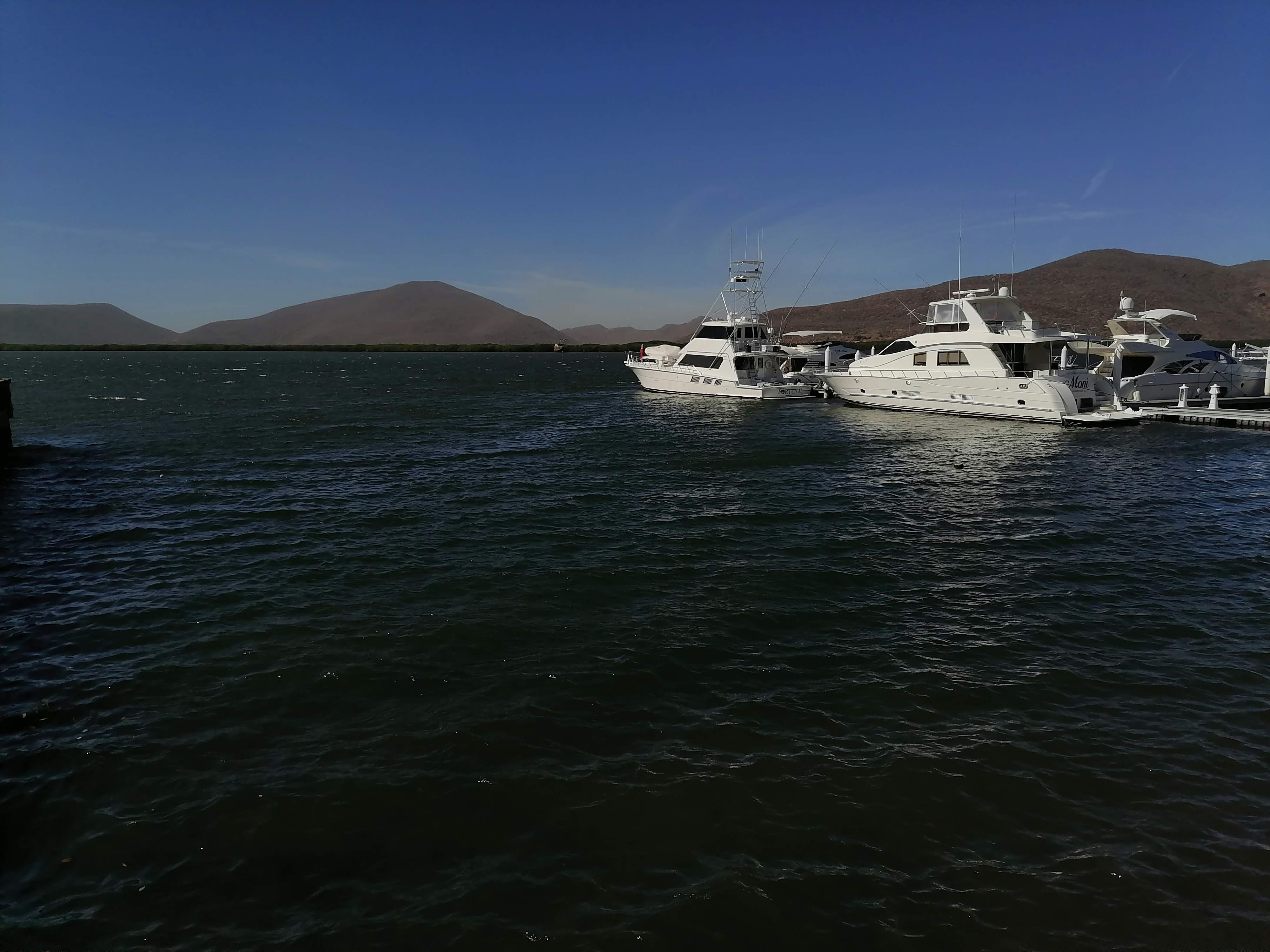 Angel del Mar image 3