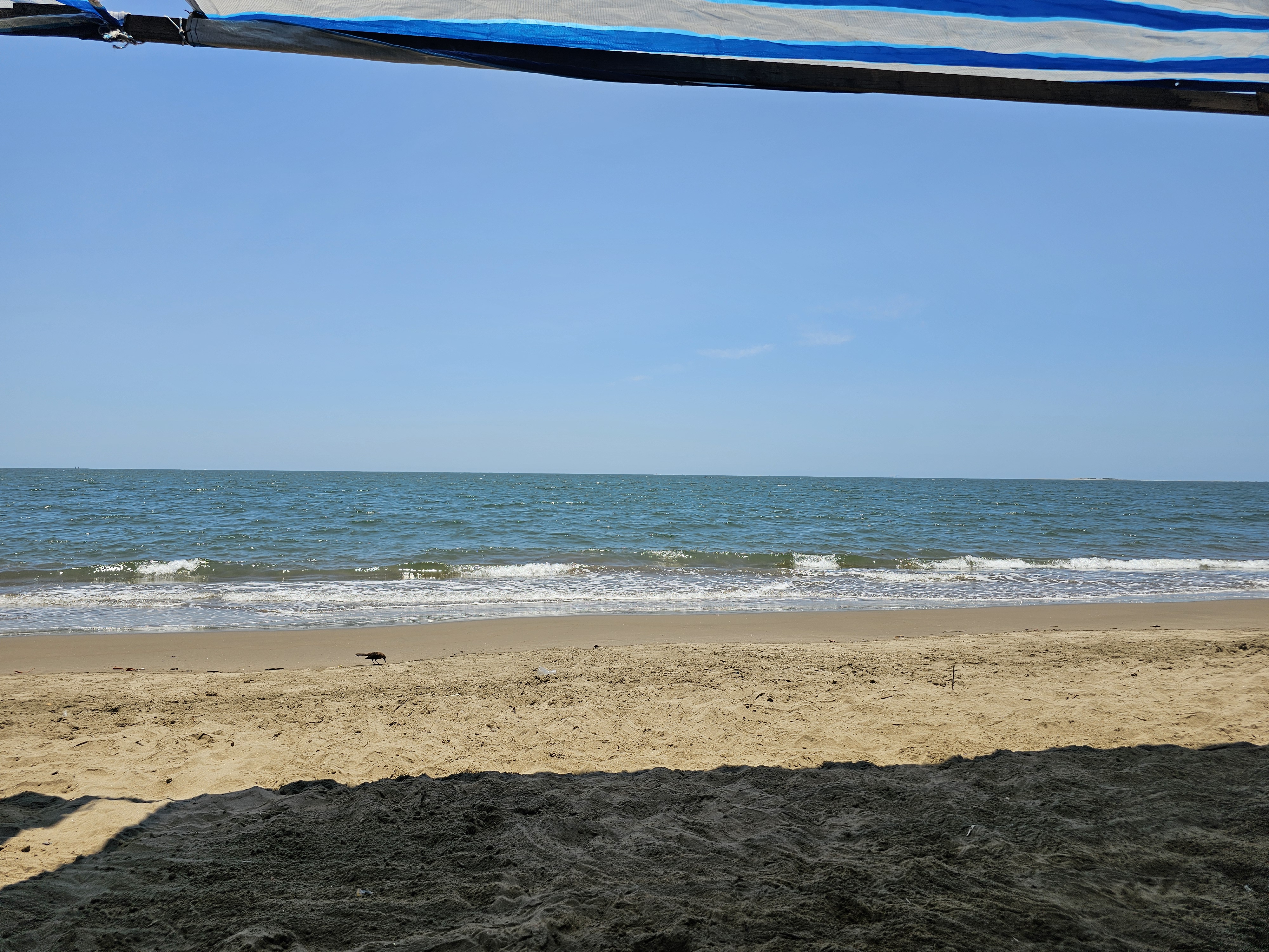 Restaurante Alfredo's image 4