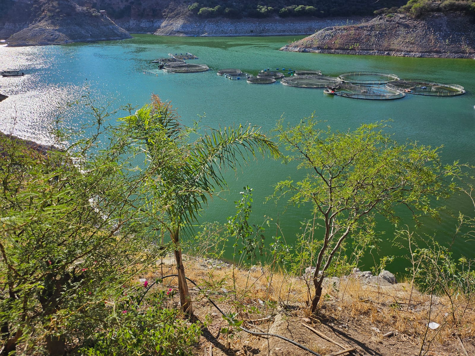 Restaurante las Adjuntas image 3