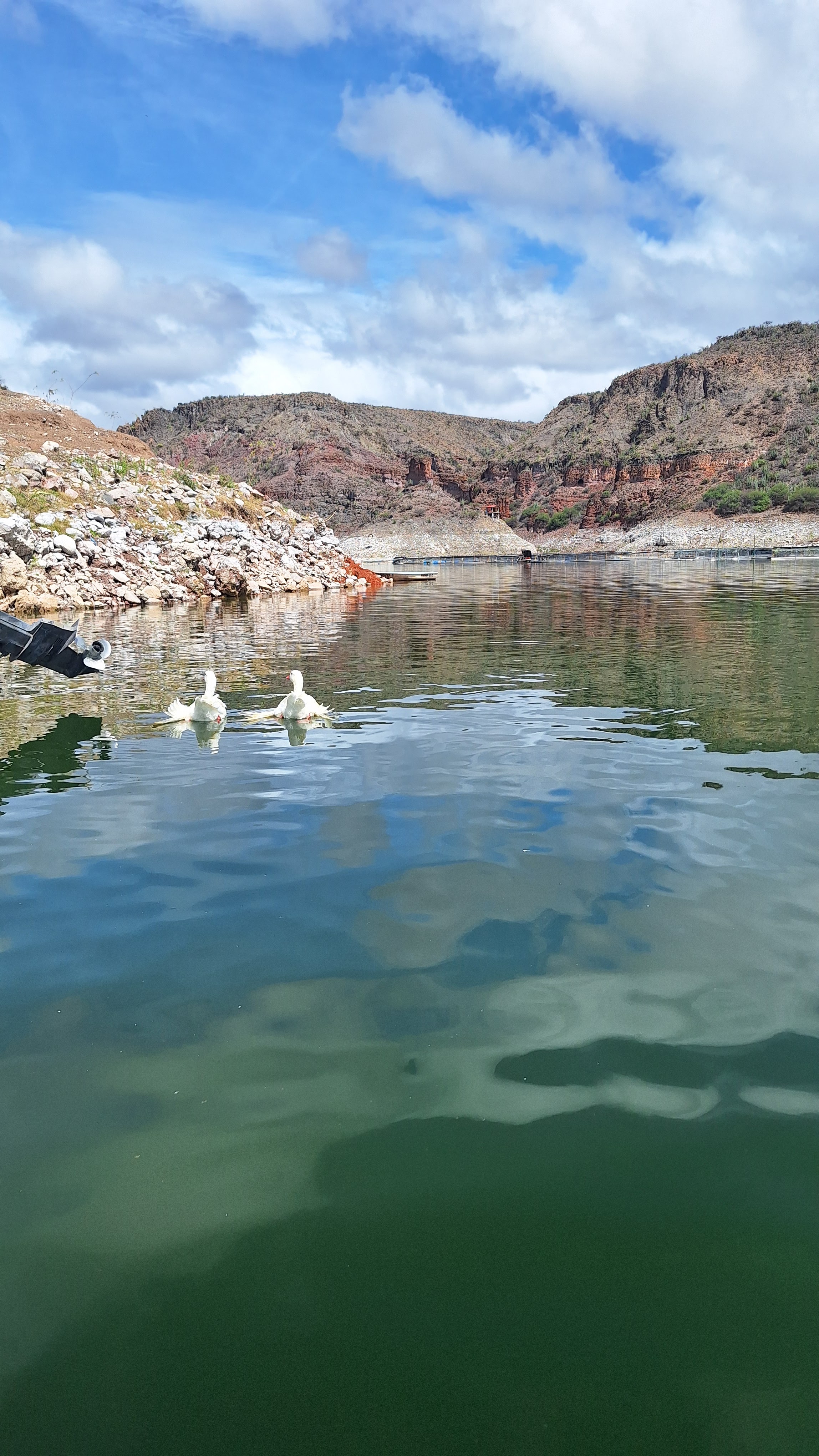 Restaurante las Adjuntas image 5