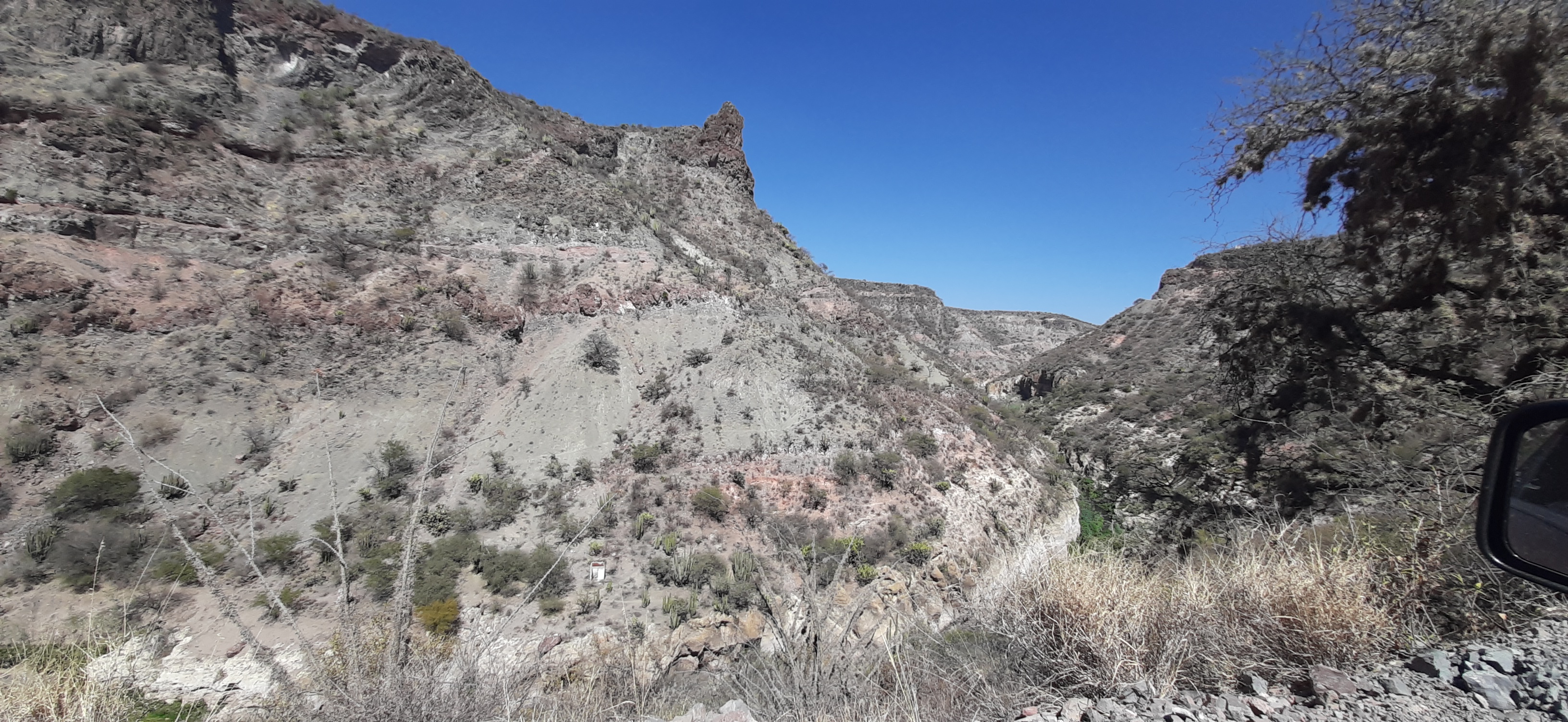 Restaurante las Adjuntas image 8