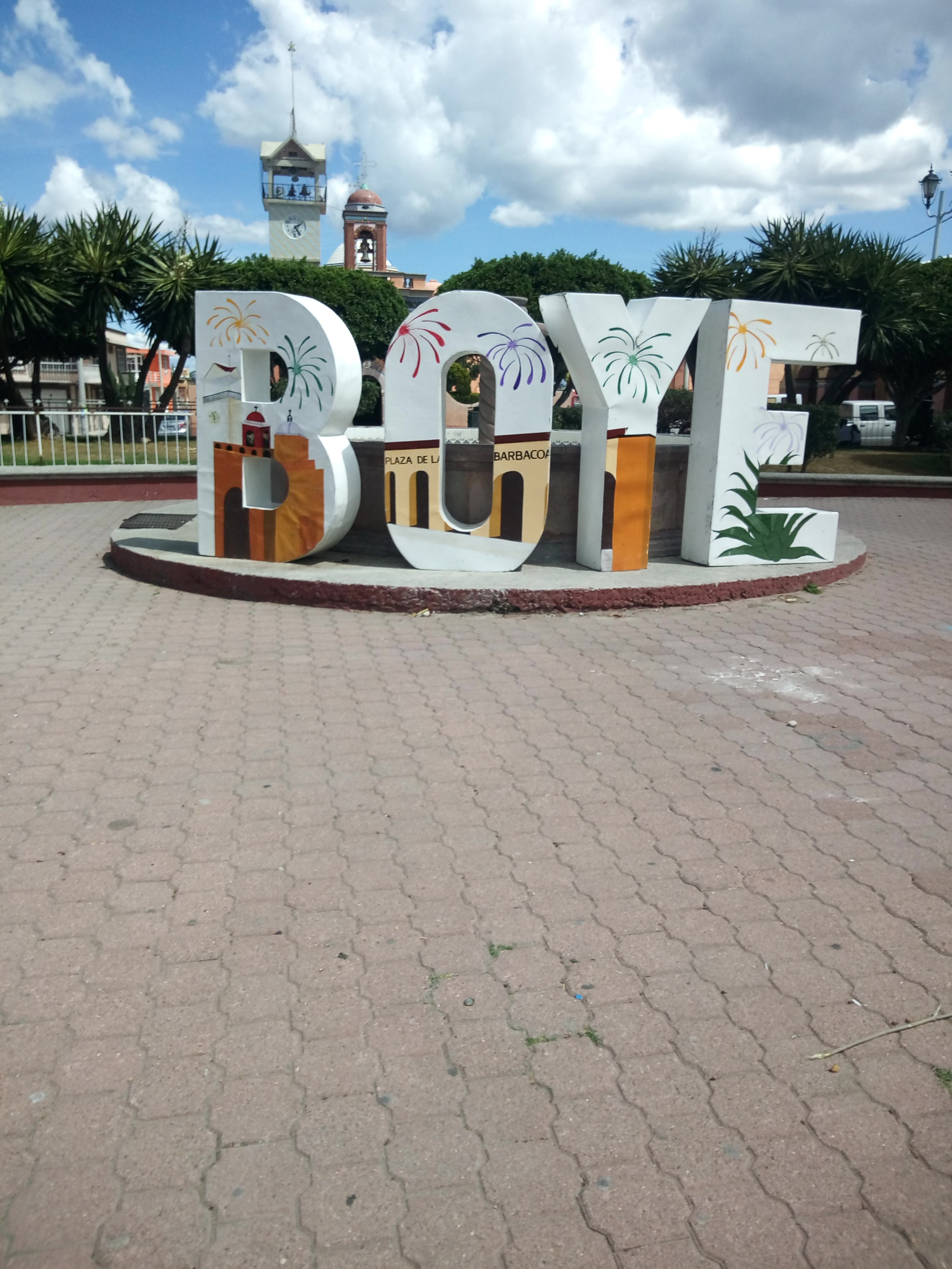 Rica Barbacoa "Don Cirilo# image 9