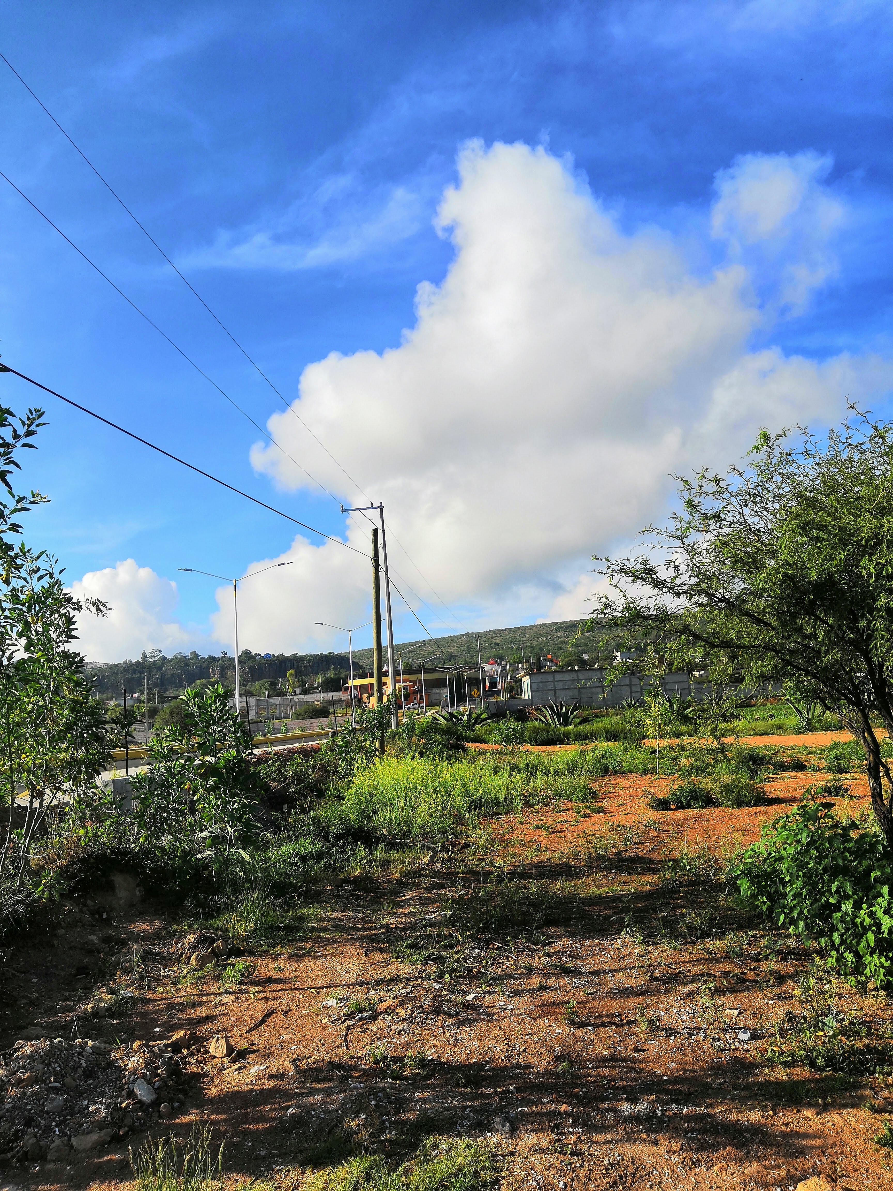 Barbacoa "La Milpa" Boyé image 5
