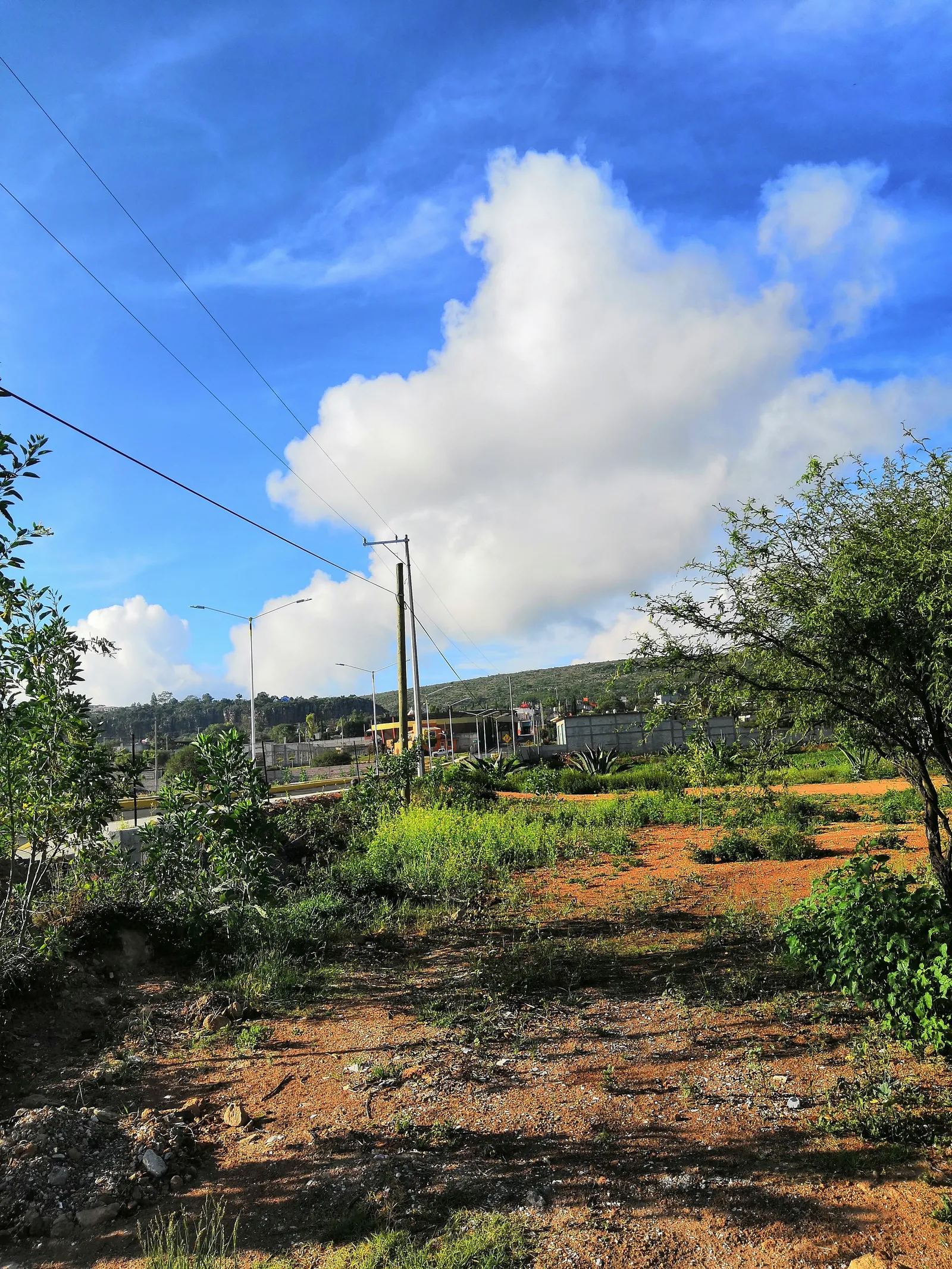 Barbacoa "La Milpa" Boyé image 5