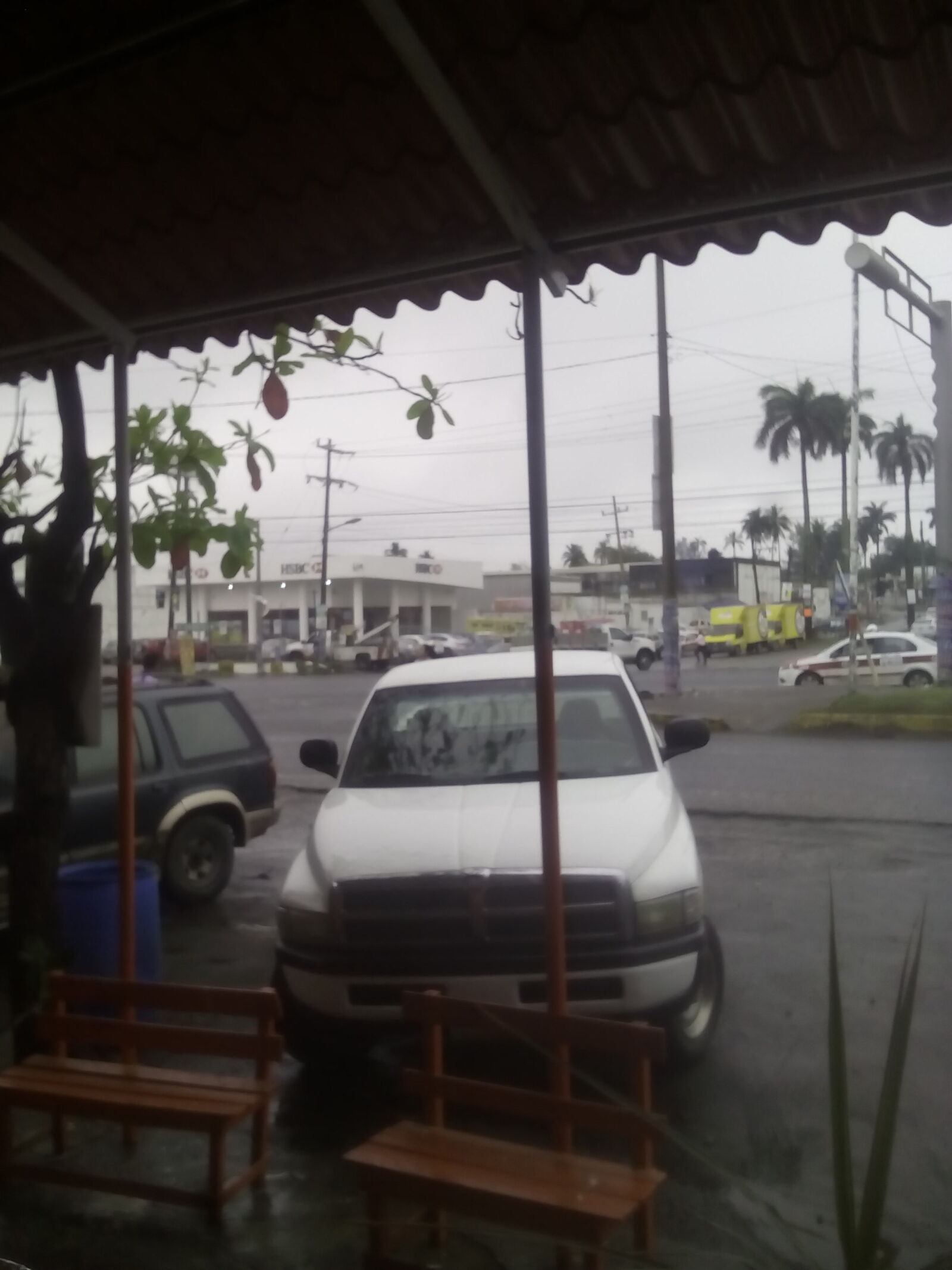 Restaurant y Carnitas "Chiqui image 9