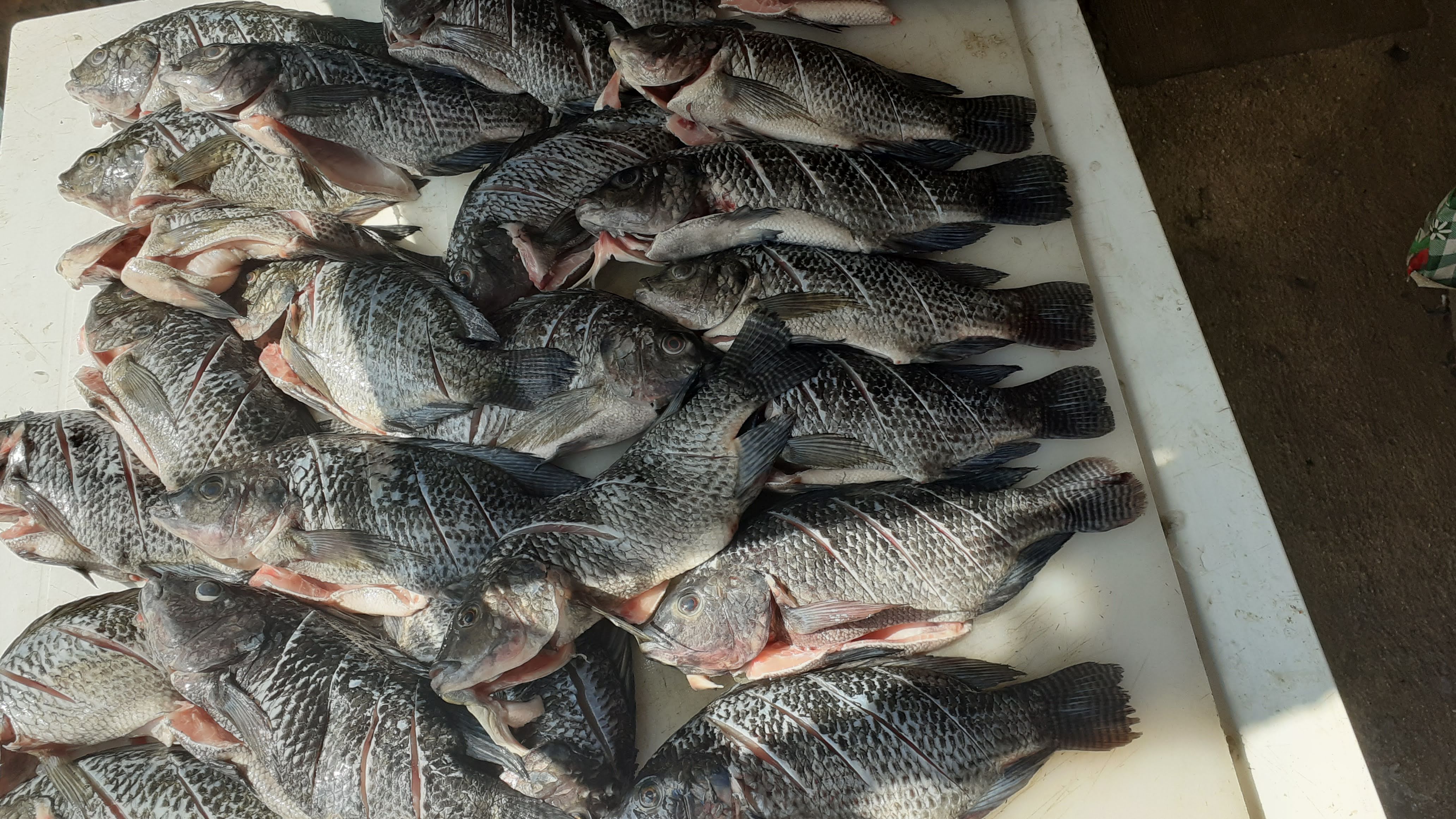 Marisquería ALSA image 3