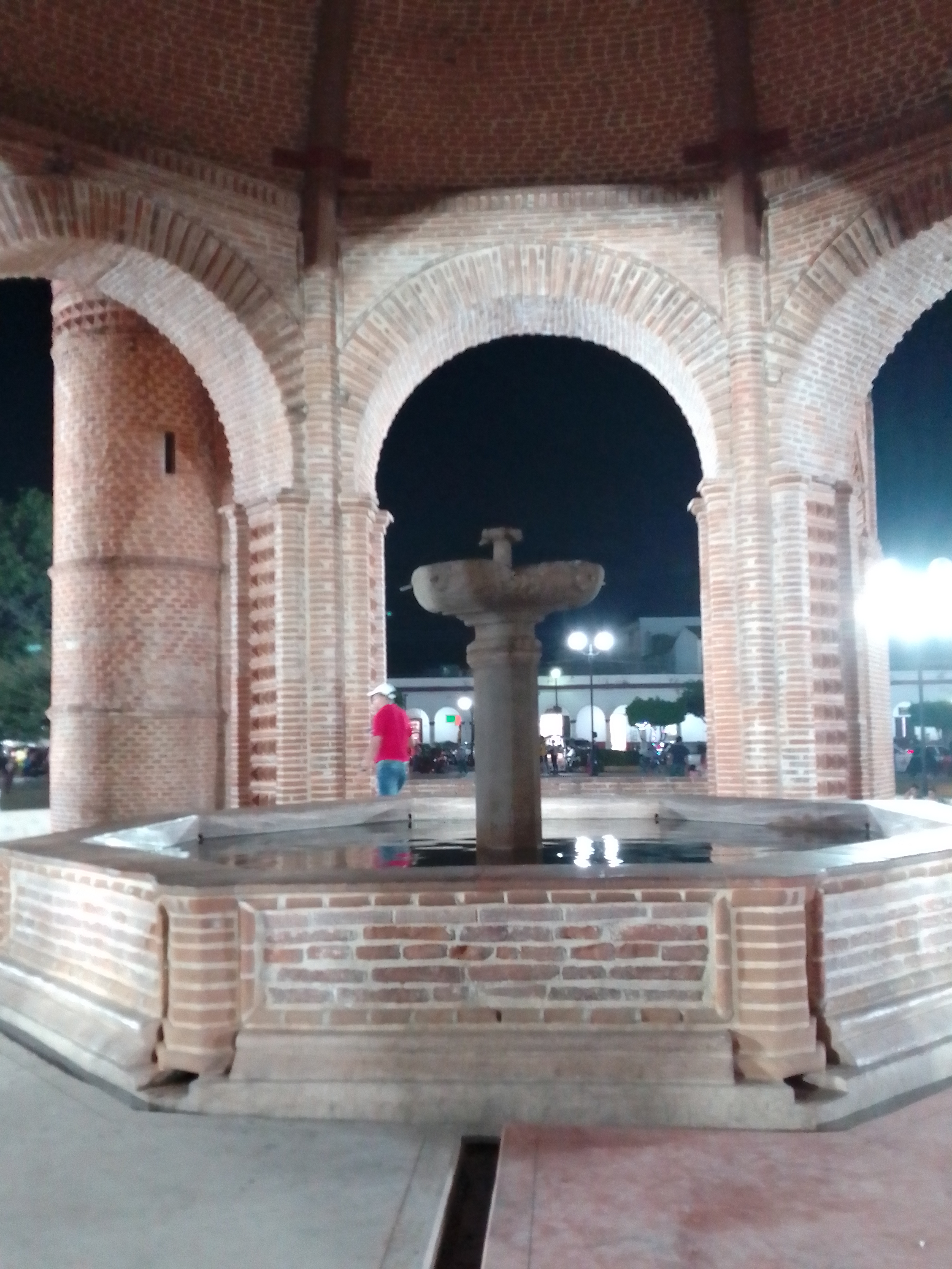 Don Vicente [Botanas] image 9