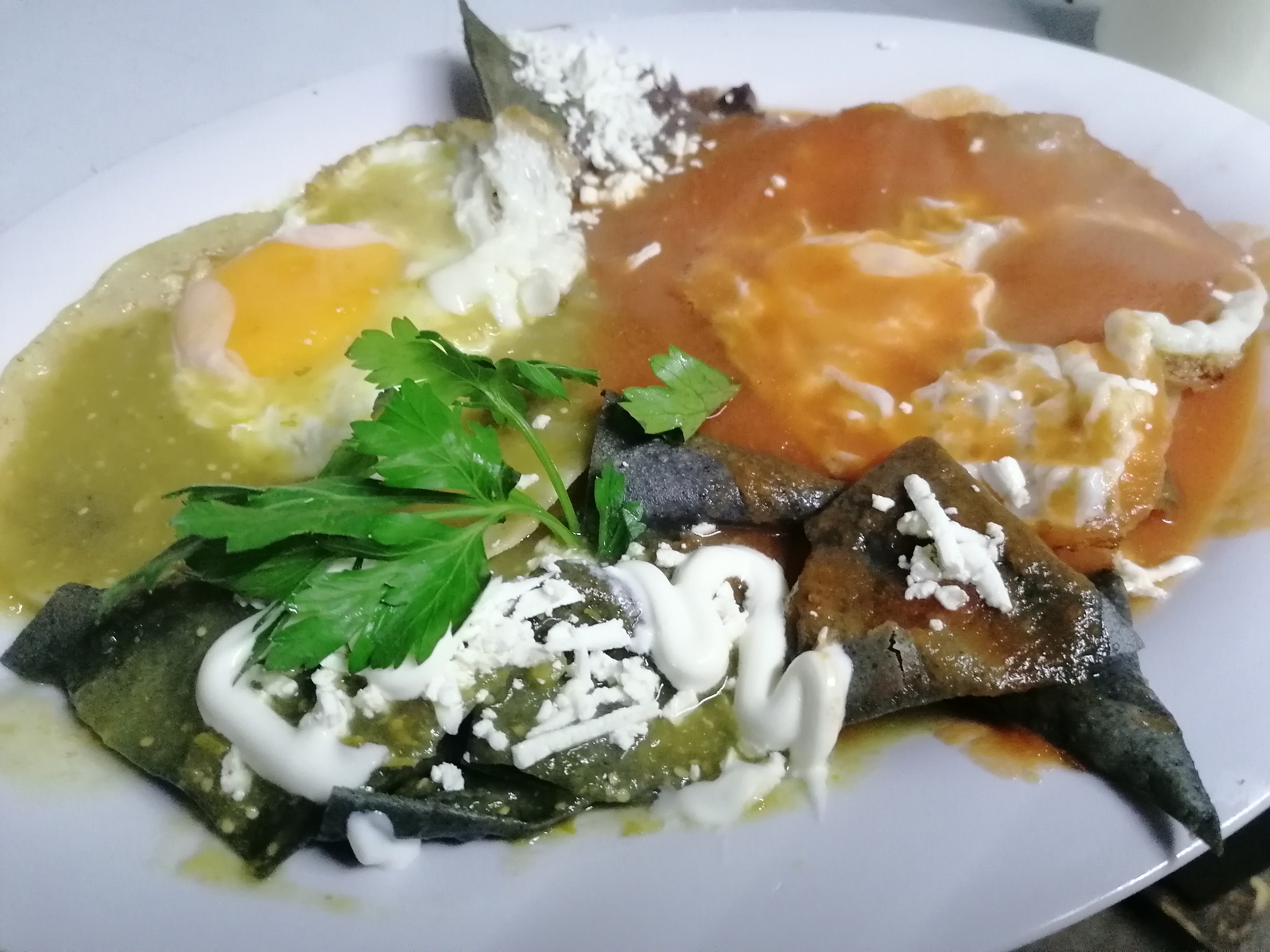 Gastronomía Mexicana image 6