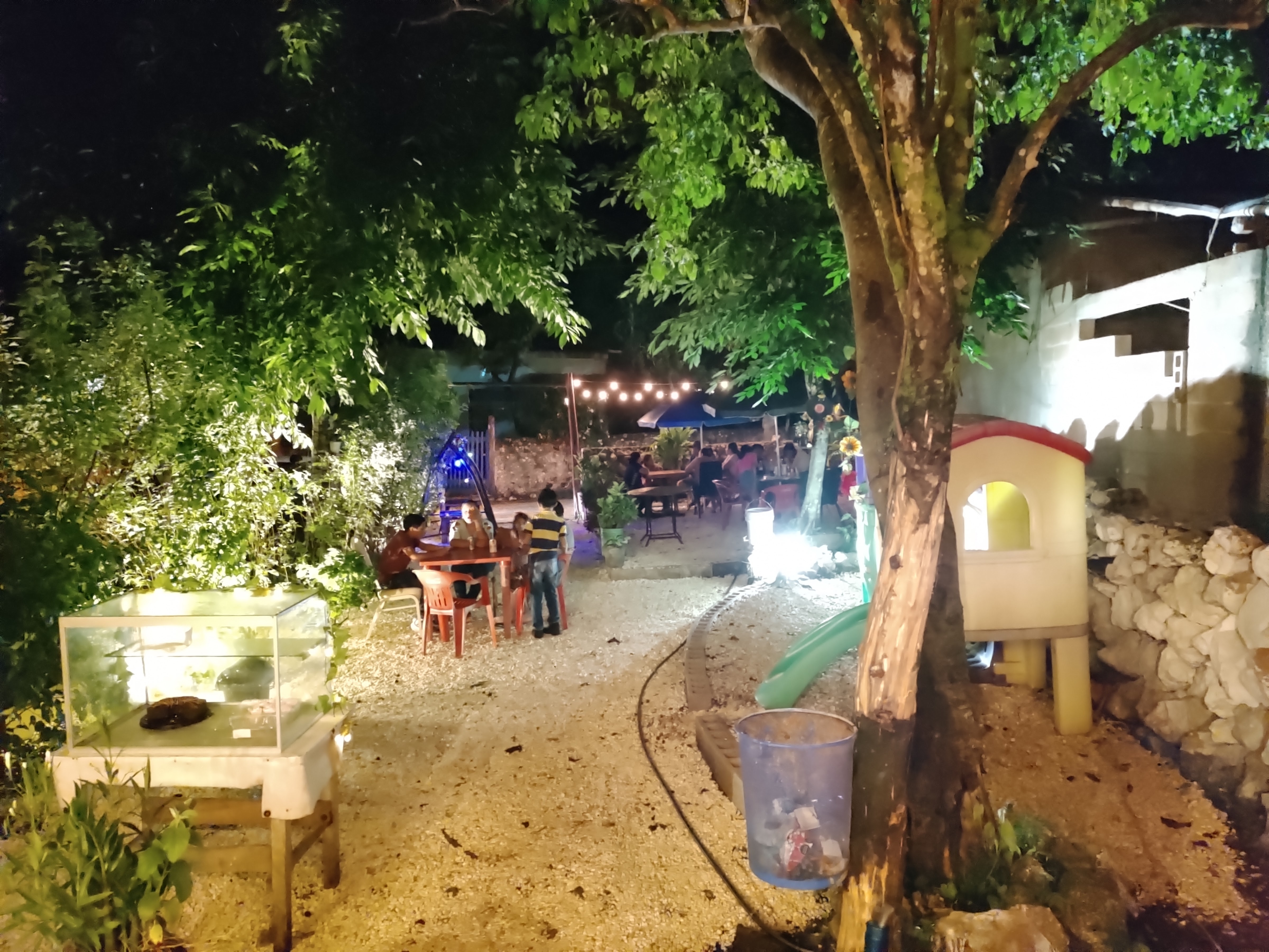 Aromas & sabores image 4