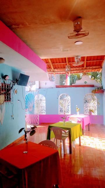 Palmitas Tinum image 2