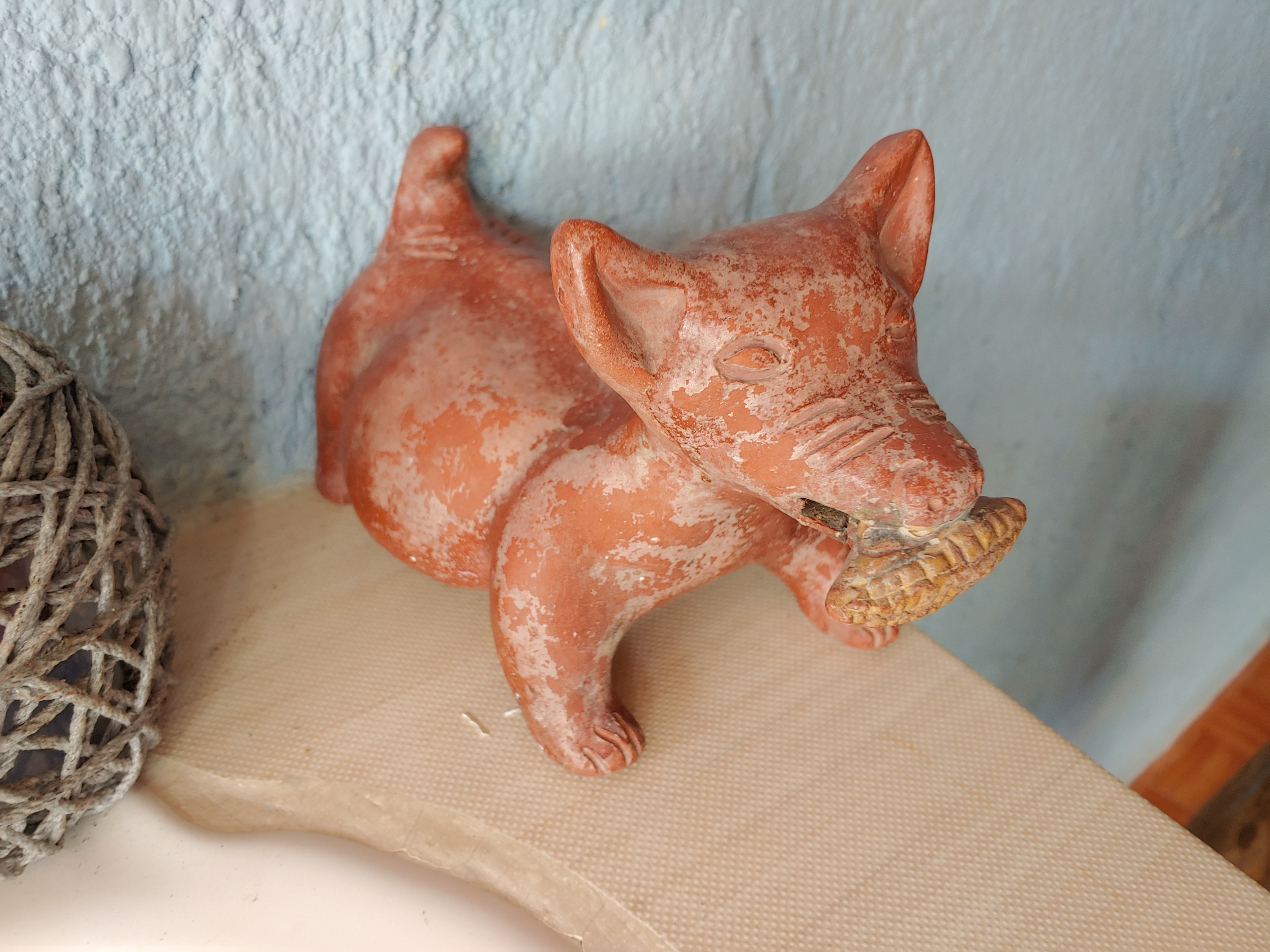 Palmitas Tinum image 7