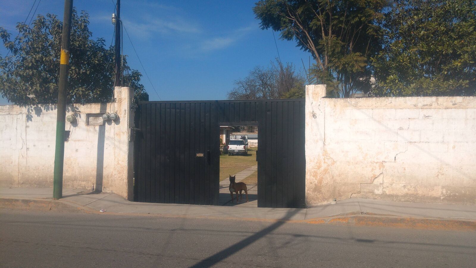 Mr chancho image 10