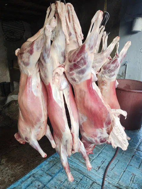 Barbacoa Los Dos Lindoros image 5