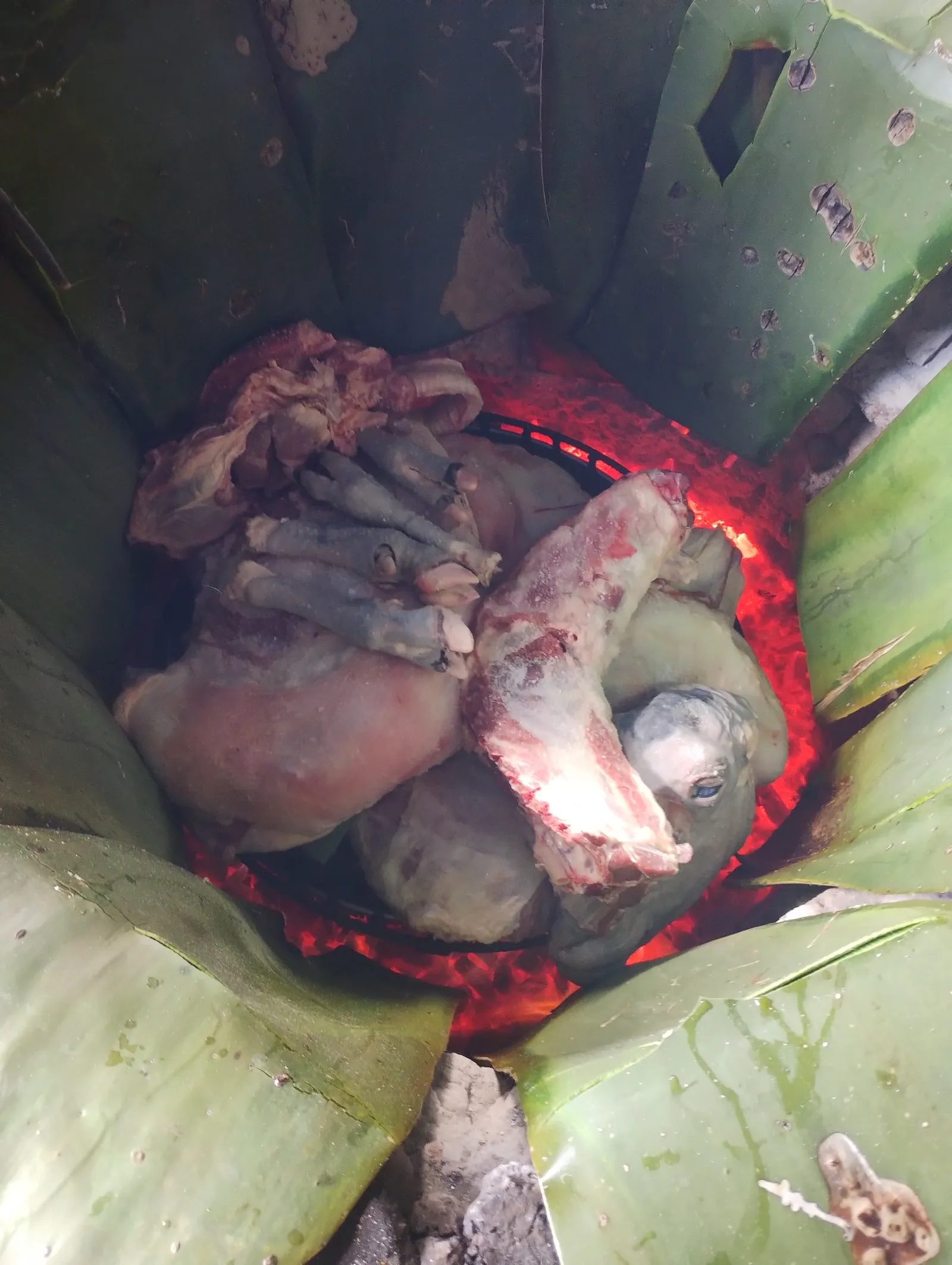 Barbacoa Los Dos Lindoros image 7
