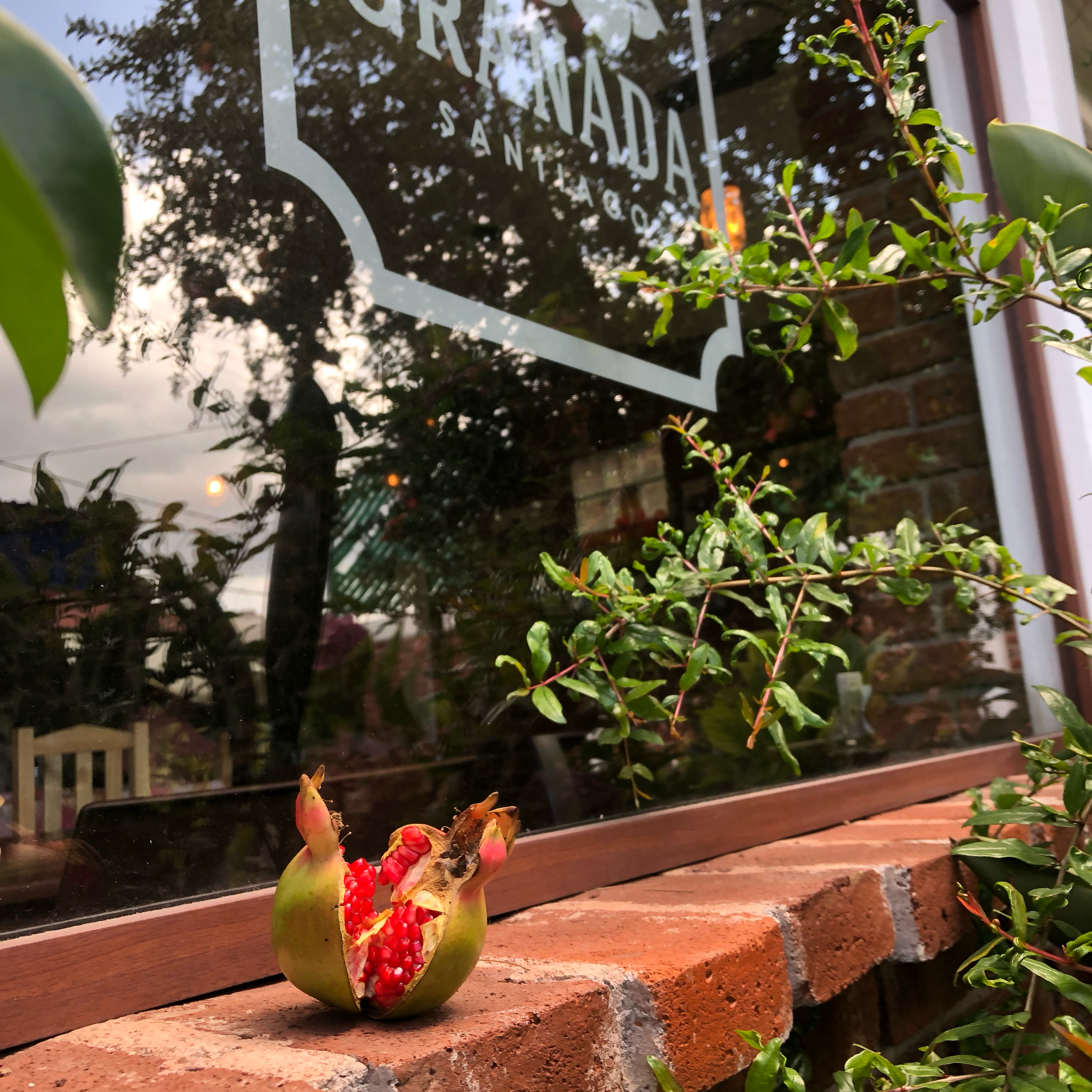 Restaurante La Granada Santiago image 7