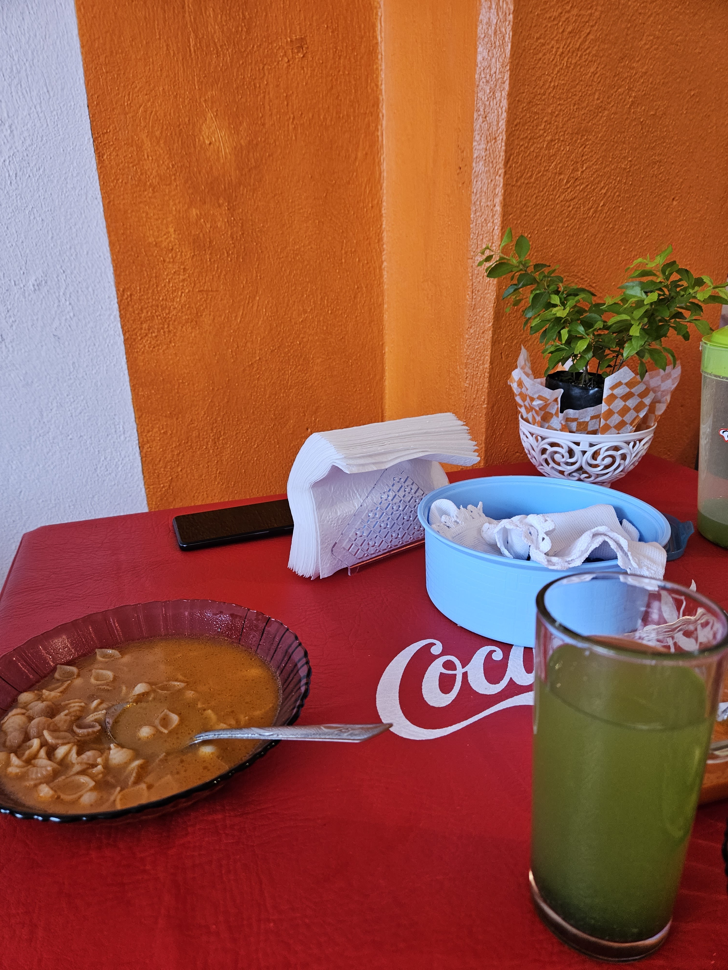 Raíz Azteca image 3