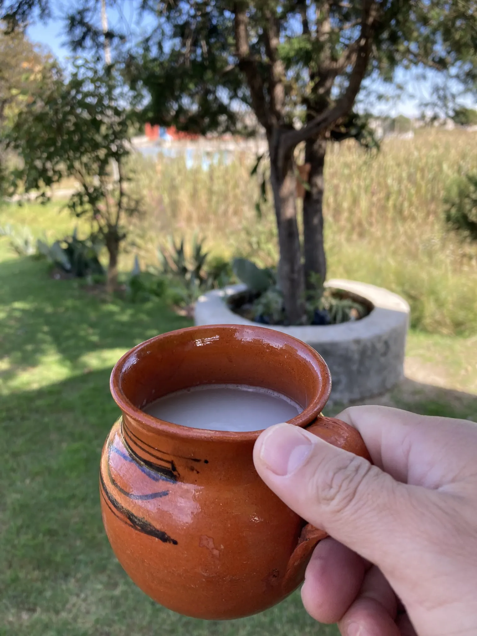 Pulque Garcia´s image 4