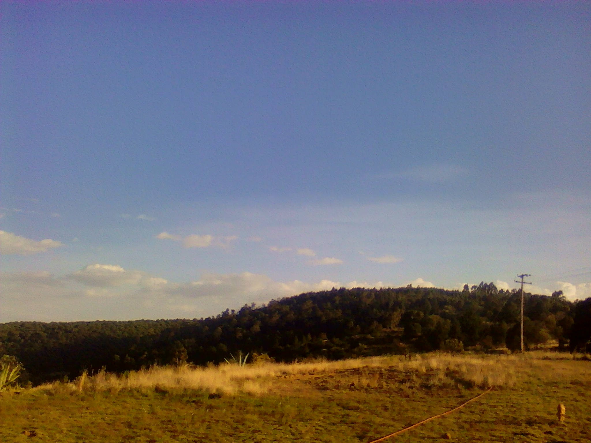 Cabaña La Hacienda image 3