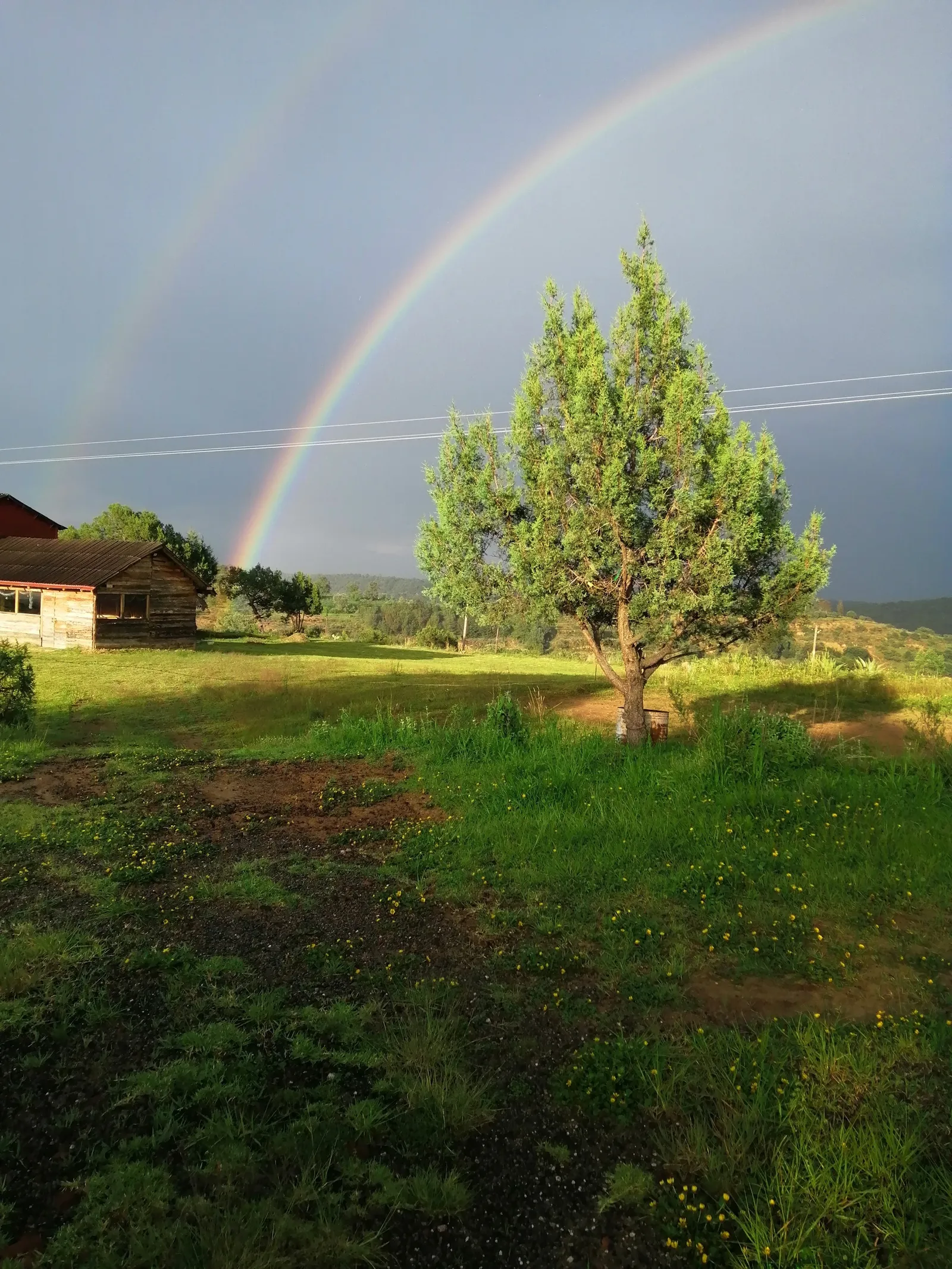 Cabaña La Hacienda image 5
