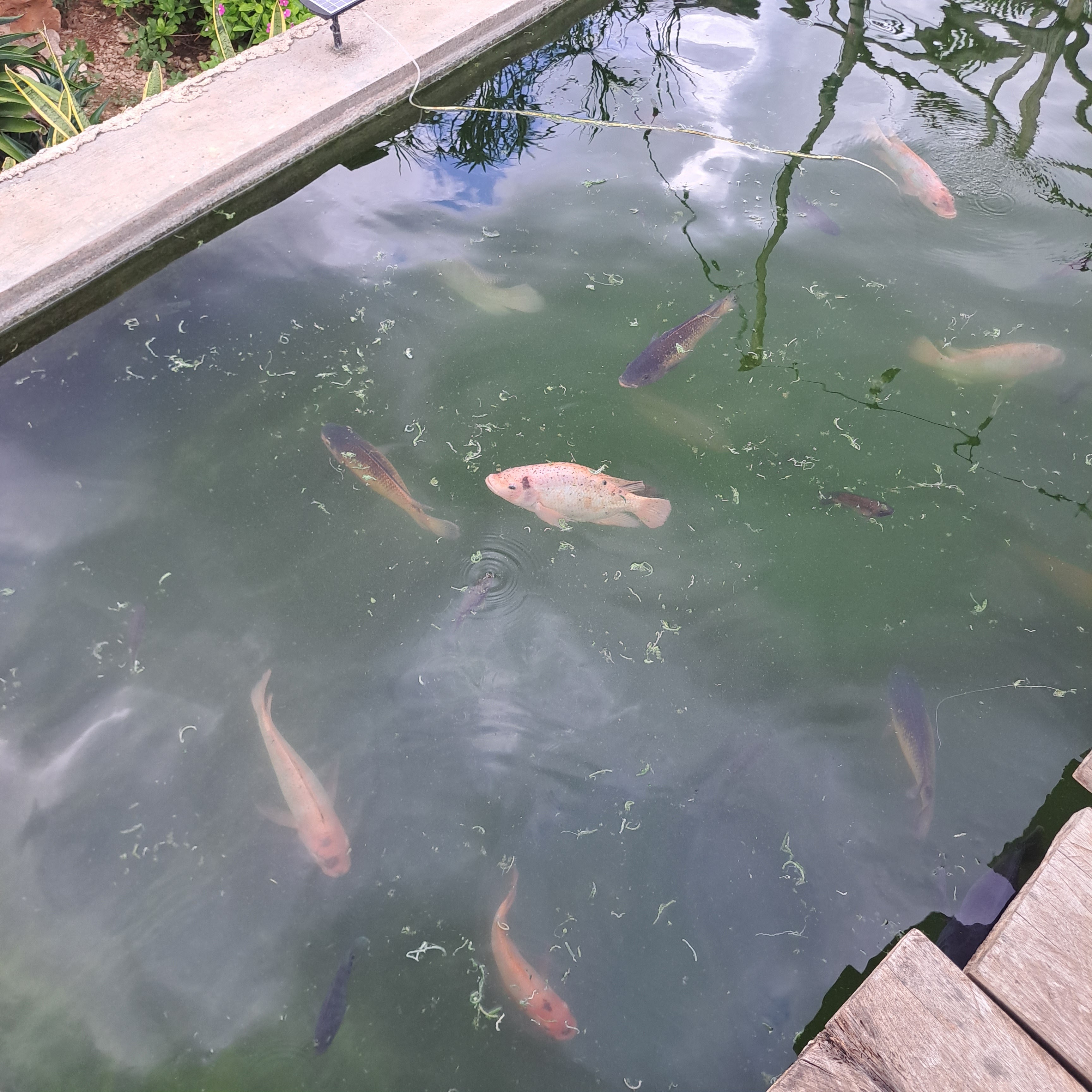 Acuaparque San Lorenzo image 8