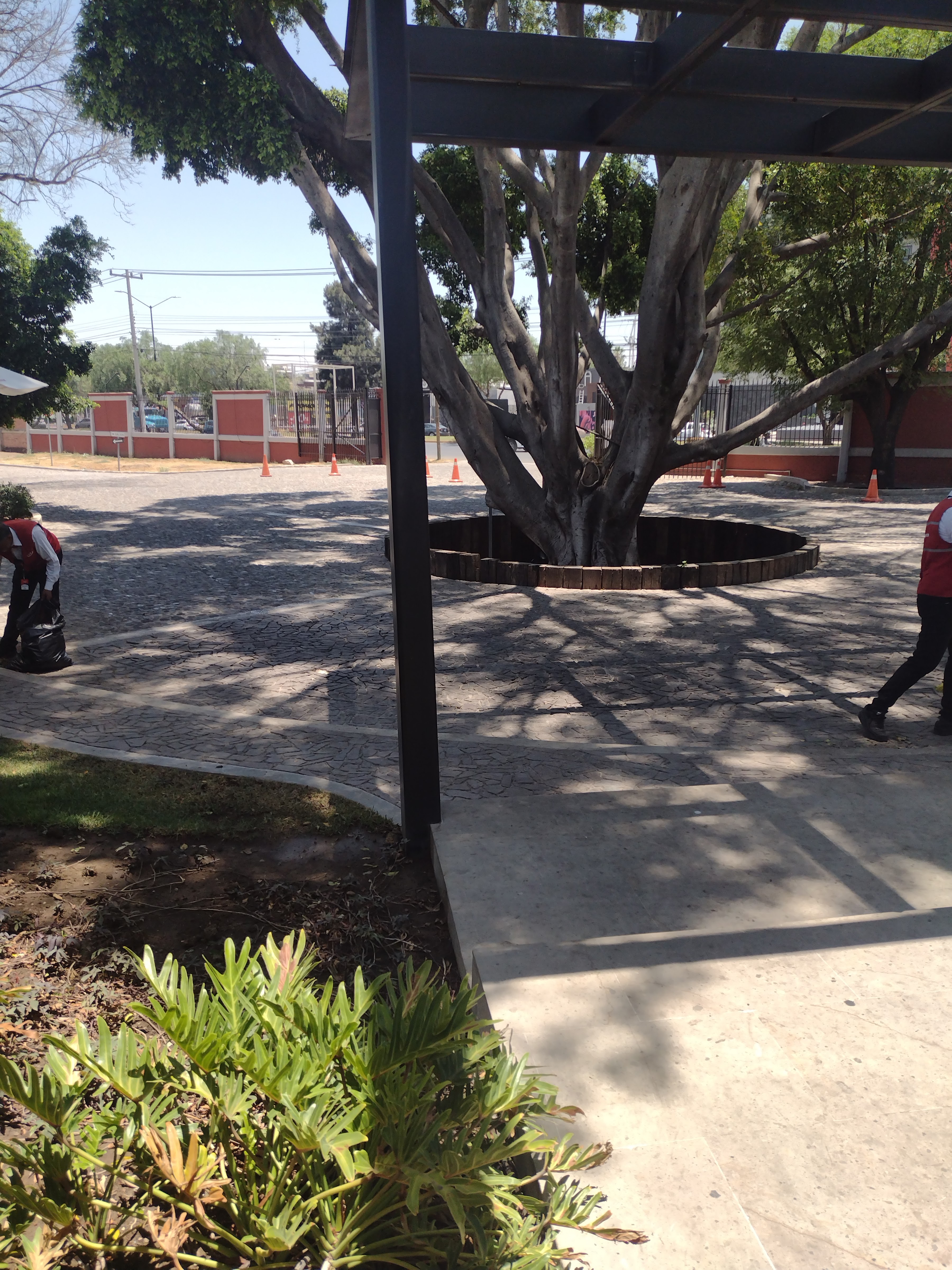 El Gaucho Tradicional Pilarica image 10