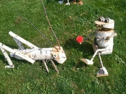 Granja Cunicola Organica image 8